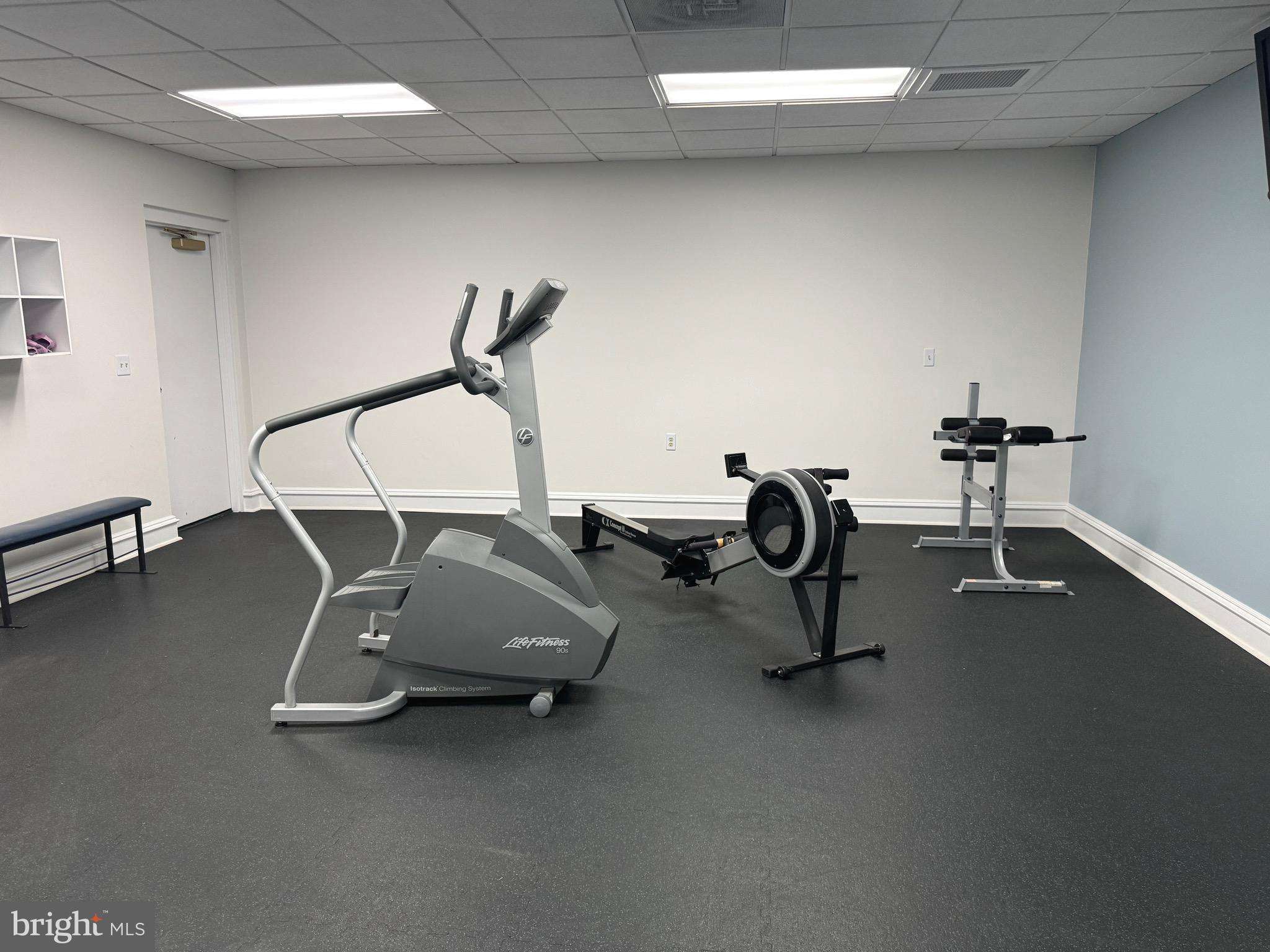 5563 Seminary Road, Unit 412 Falls Church, VA 22041 - Photo 39 of 45 Fitness area with free weights