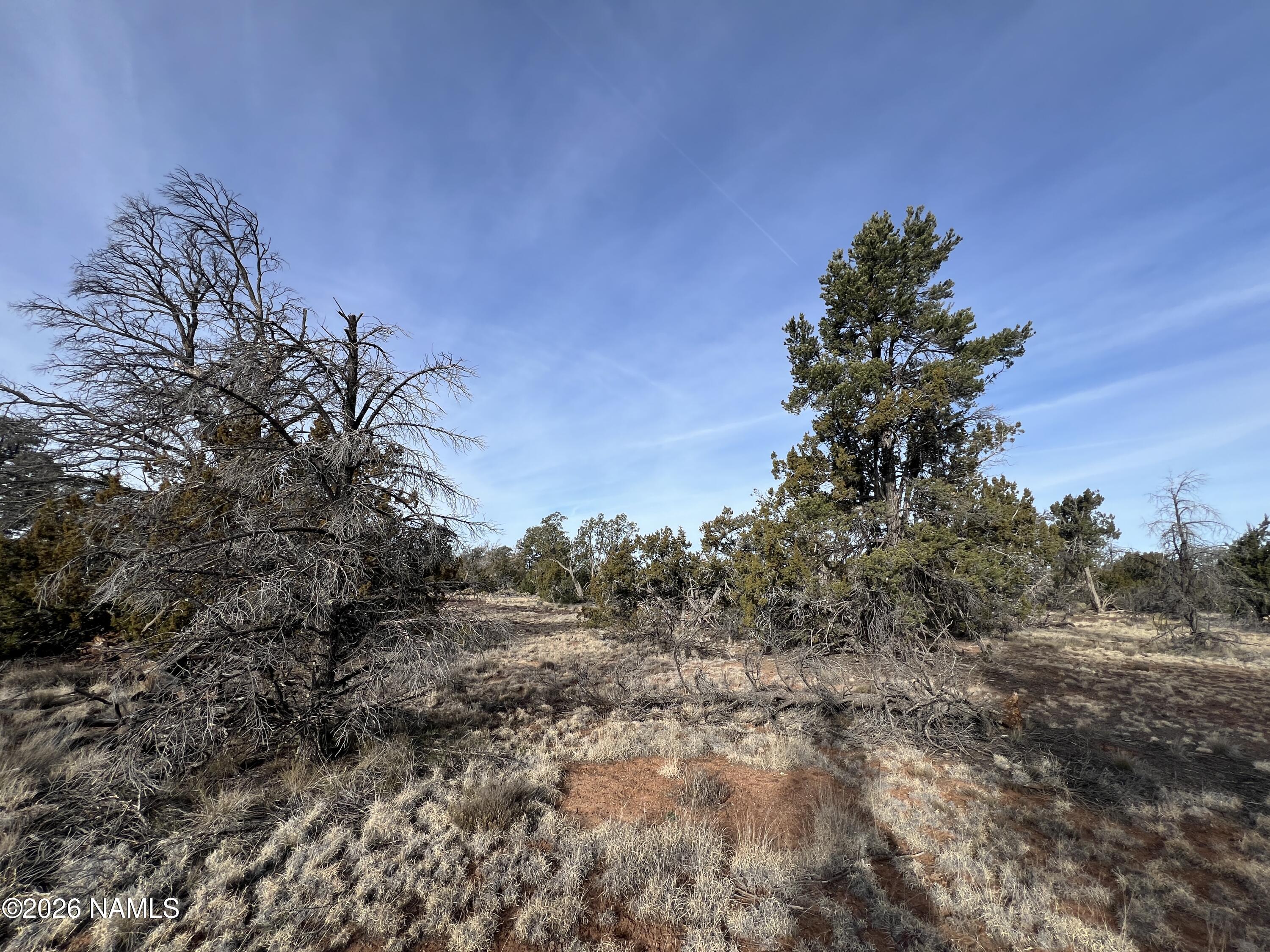 Lot 186 North Bull Run Road Williams, AZ 86046 - Photo 14 of 14 a view of a yard with a tree