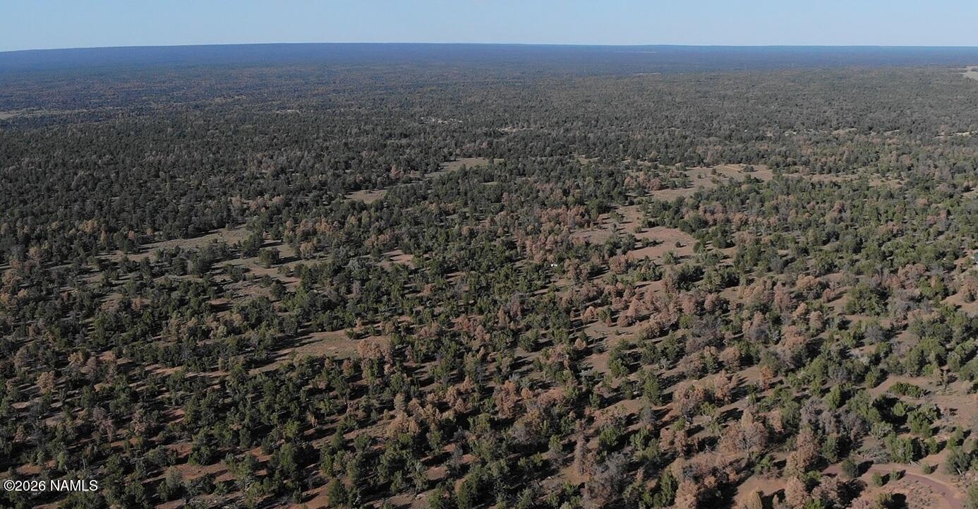 Lot 186 North Bull Run Road Williams, AZ 86046 - Photo 8 of 14 a view of a field