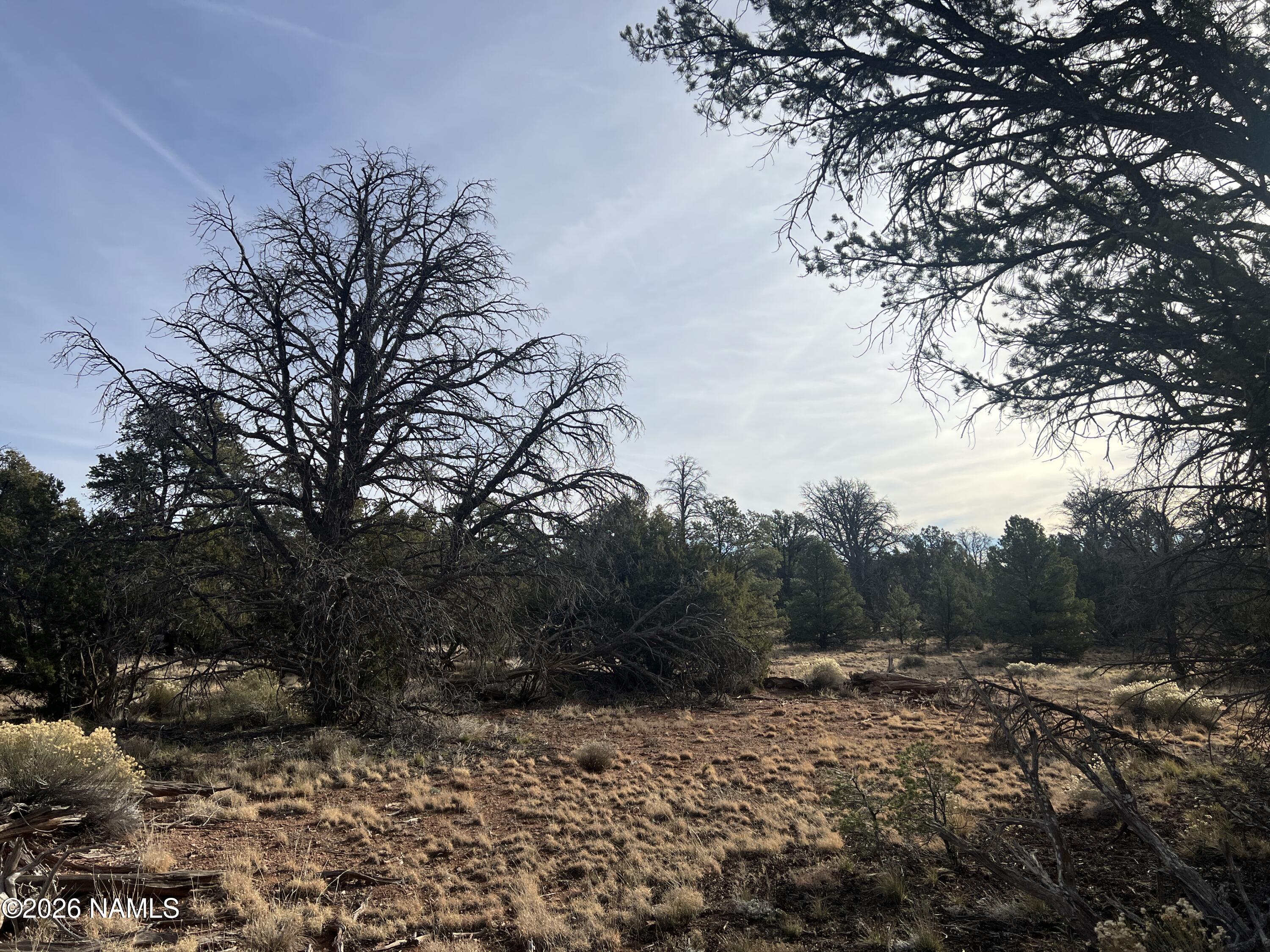 Lot 186 North Bull Run Road Williams, AZ 86046 - Photo 10 of 14 a backyard of a house with lots of green space