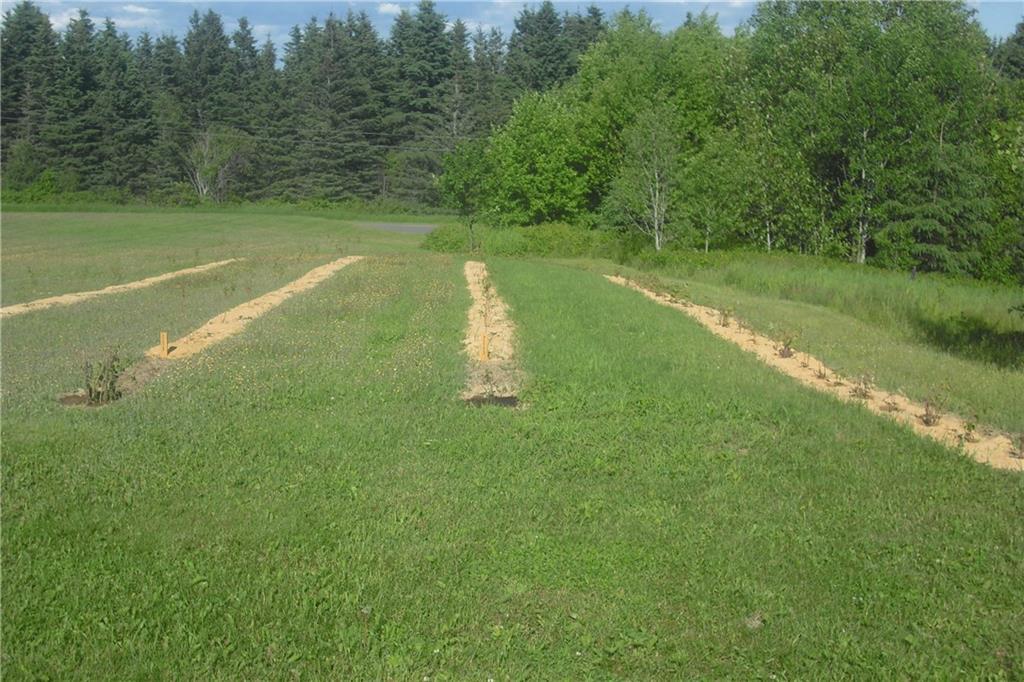 601 Beaulieu Road Madawaska, ME 04773 - Photo 32 of 33 Photo