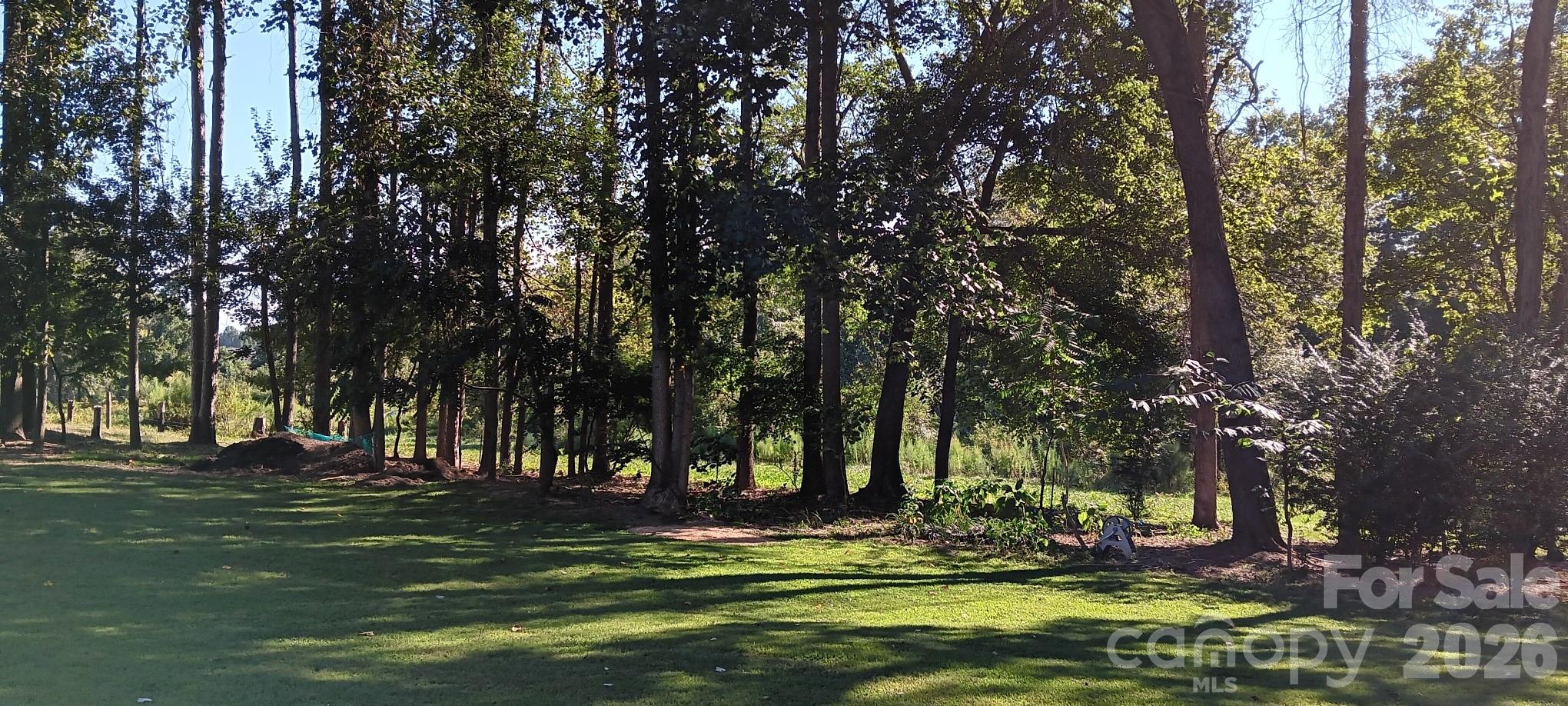 240 Eldon Lane Salisbury, NC 28144 - Photo 4 of 41 a view of a backyard with green space