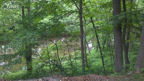 11667 South New Lothrop Road Byron, MI 48418 - Photo 10 of 25 20257073-9.JPG