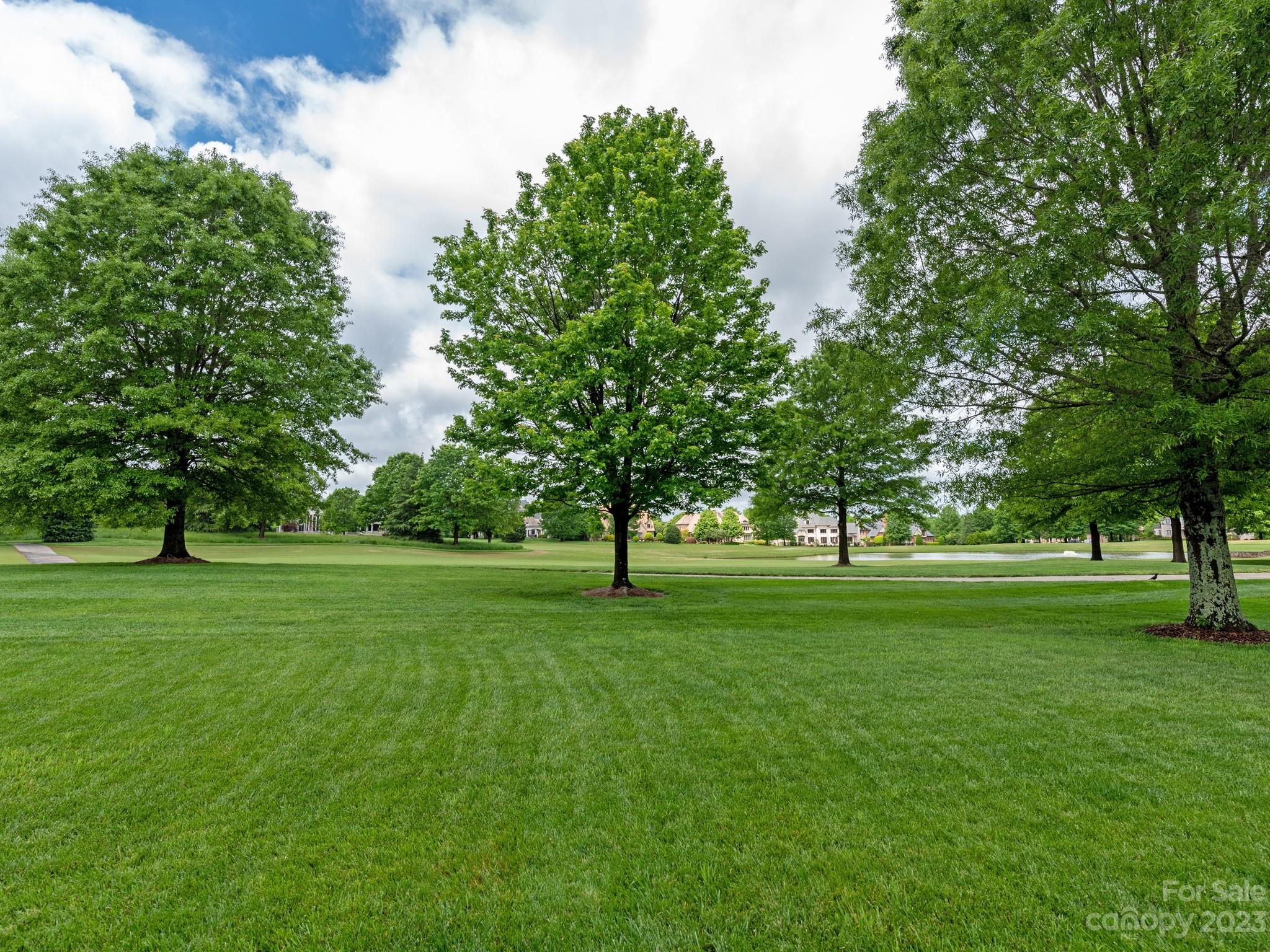 304 Eagle Bend Drive Waxhaw, NC 28173 - Photo 45 of 48 a grassy field with trees in the background