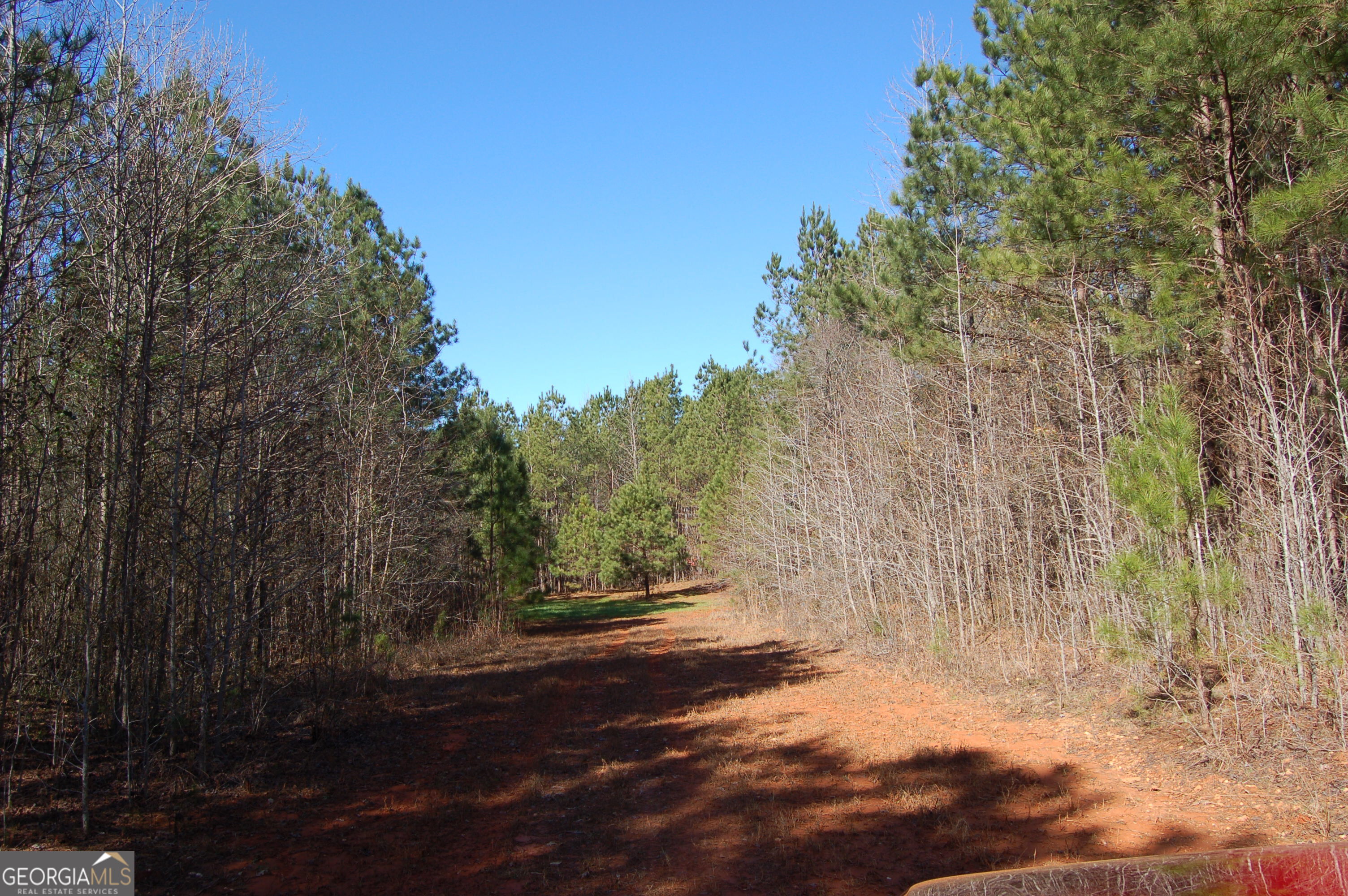 0 Fears Road Rutledge, GA 30663 - Photo 11 of 16 a view of a yard with a tree