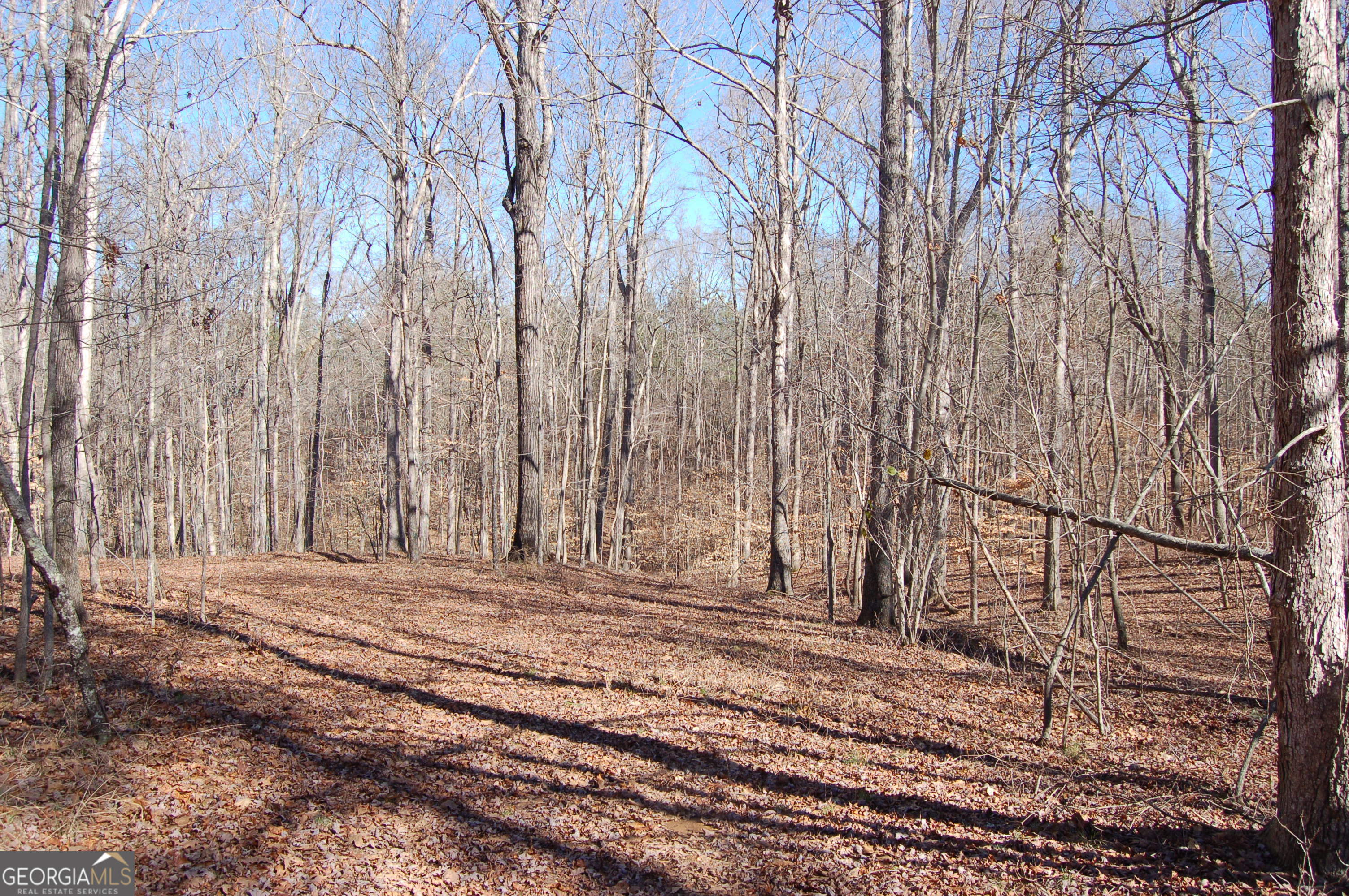 0 Fears Road Rutledge, GA 30663 - Photo 12 of 16 a view of a backyard of a house