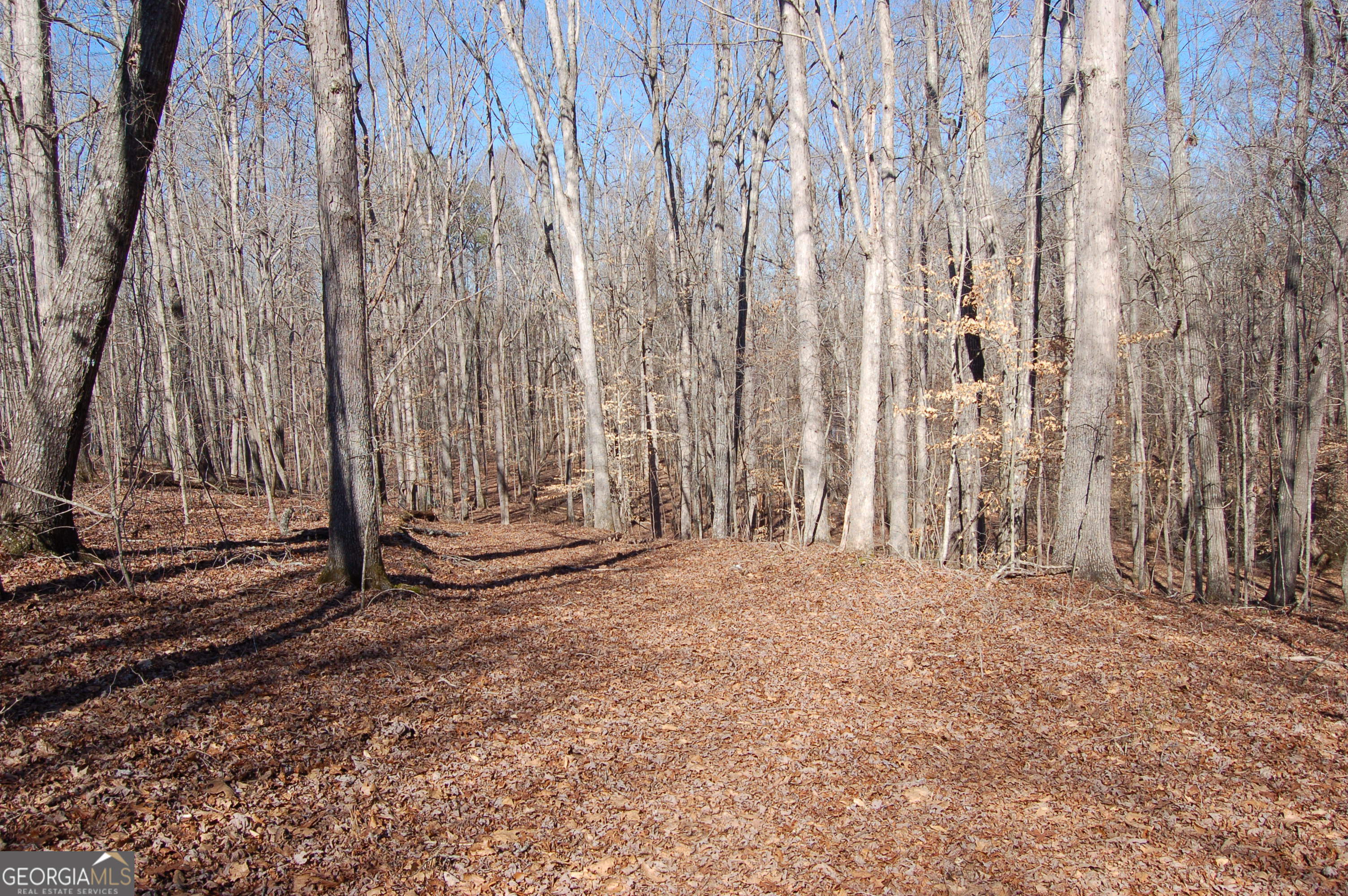 0 Fears Road Rutledge, GA 30663 - Photo 13 of 16 a view of a backyard with trees
