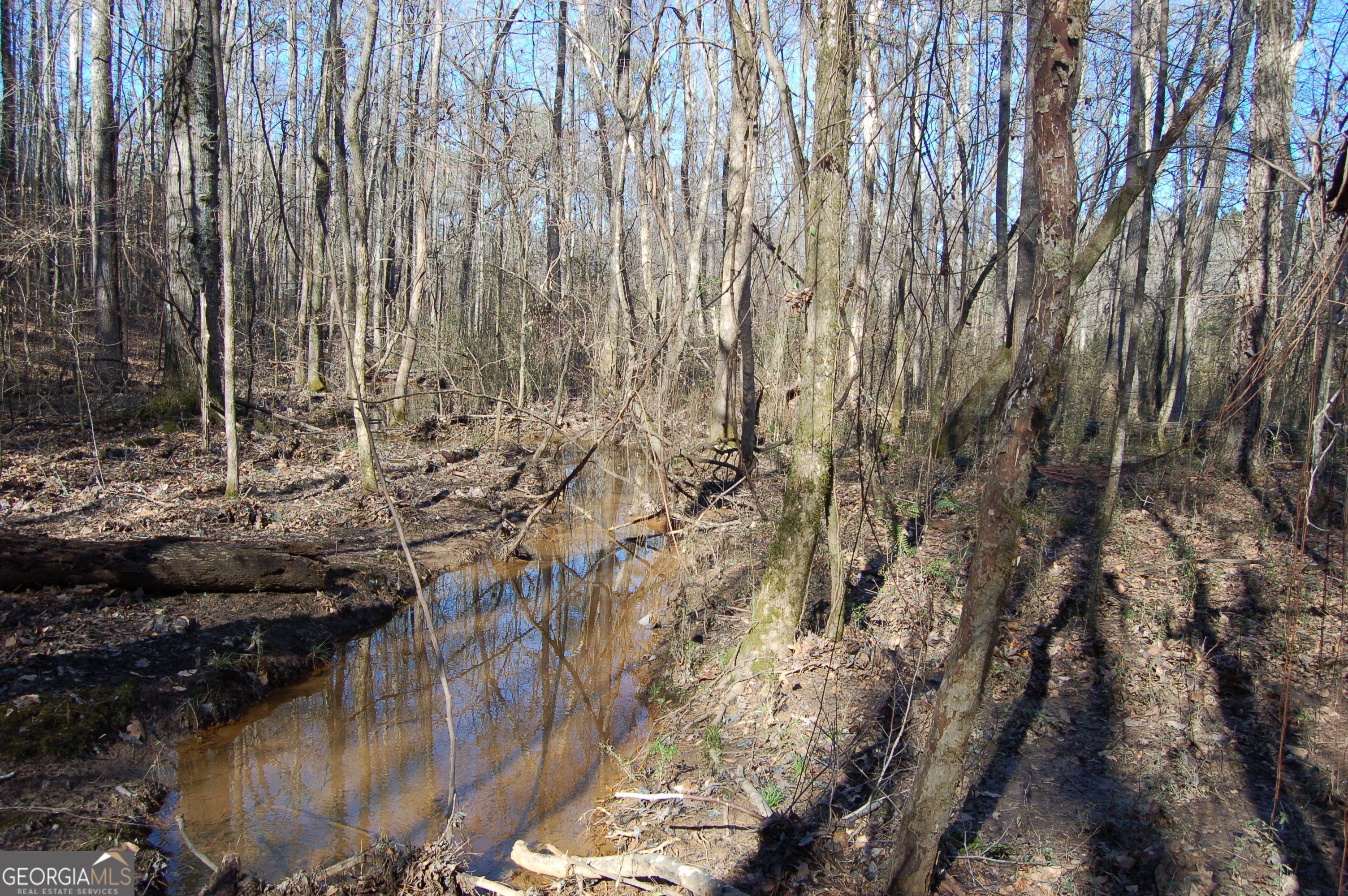 0 Fears Road Rutledge, GA 30663 - Photo 3 of 16 a view of covered with green space