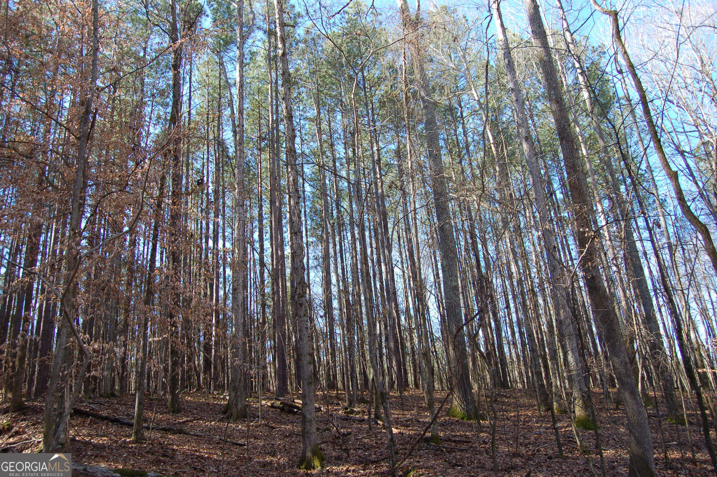 0 Fears Road Rutledge, GA 30663 - Photo 4 of 16 a view of outdoor space with a wooden fence