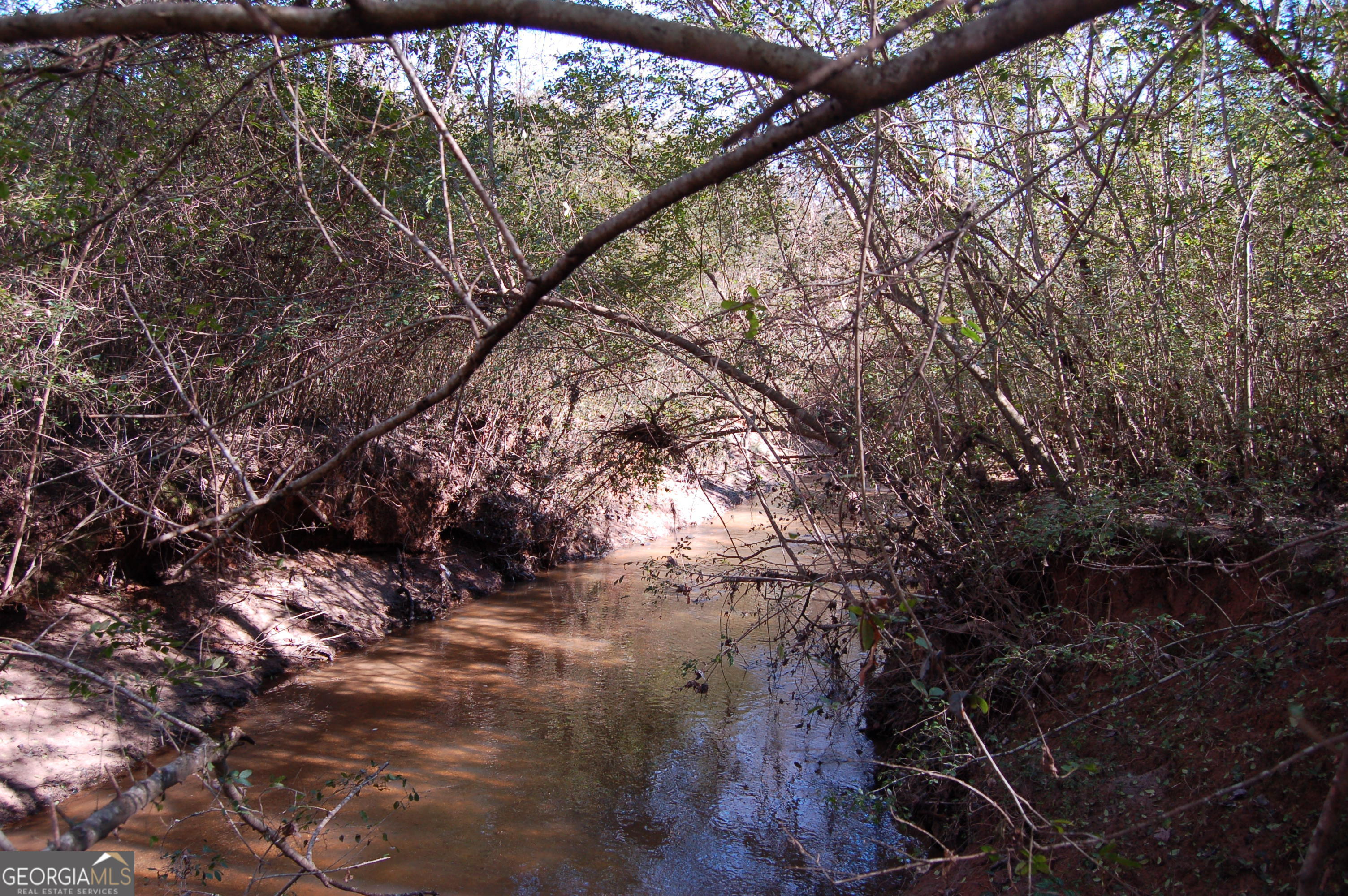 0 Fears Road Rutledge, GA 30663 - Photo 6 of 16 a view of tree
