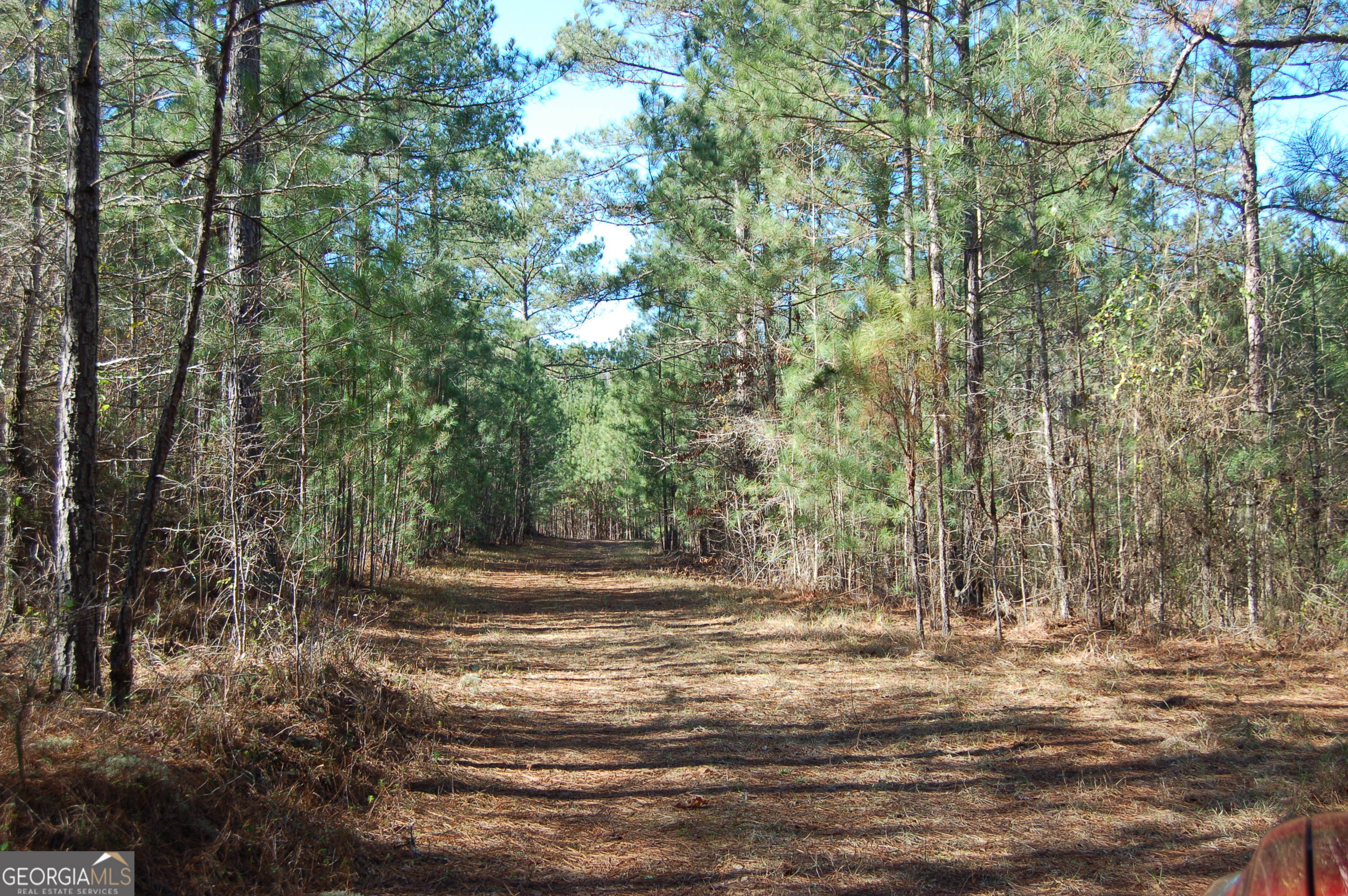 0 Fears Road Rutledge, GA 30663 - Photo 8 of 16 a view of a yard with a tree