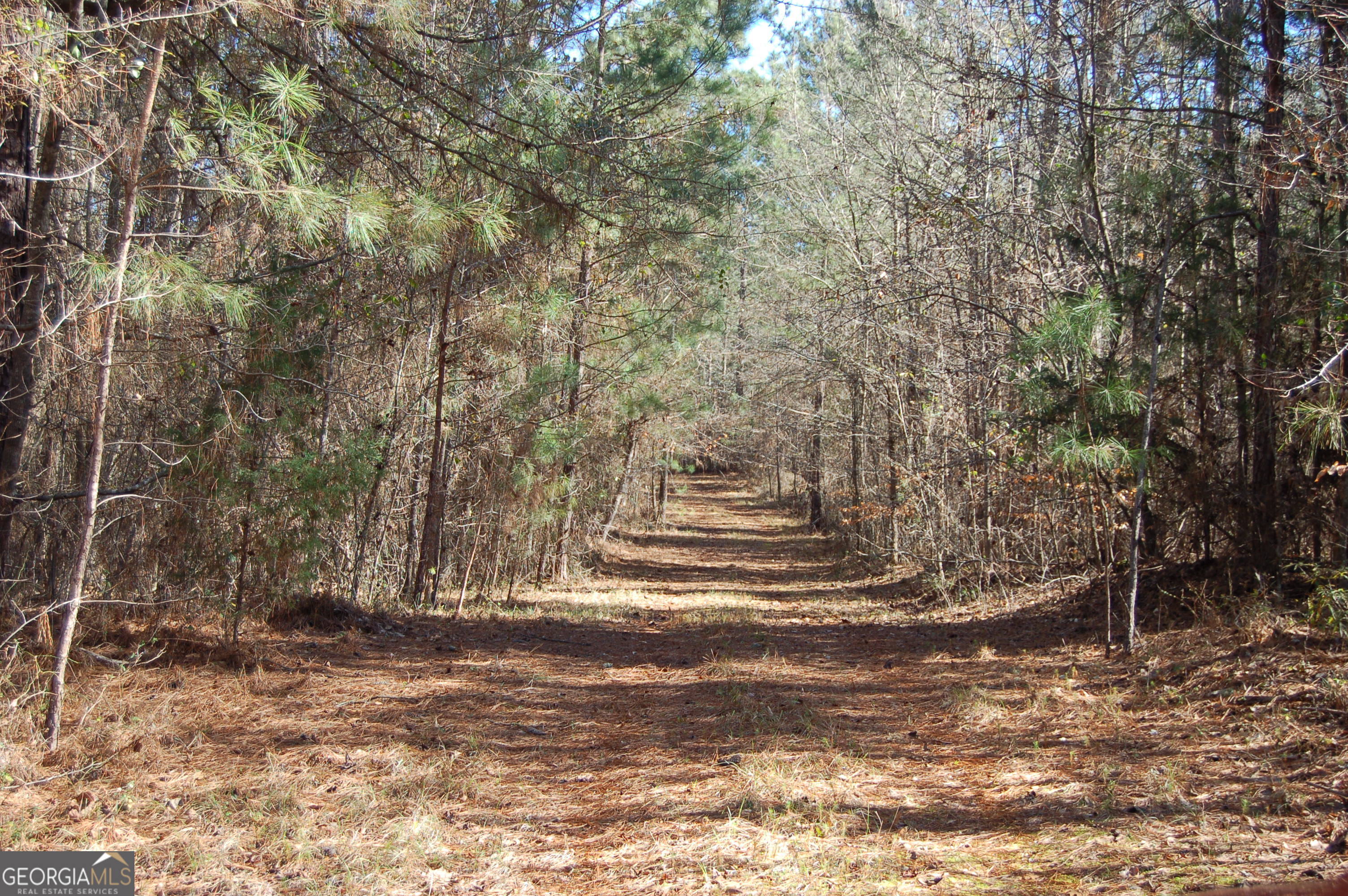 0 Fears Road Rutledge, GA 30663 - Photo 9 of 16 a view of outdoor space and yard