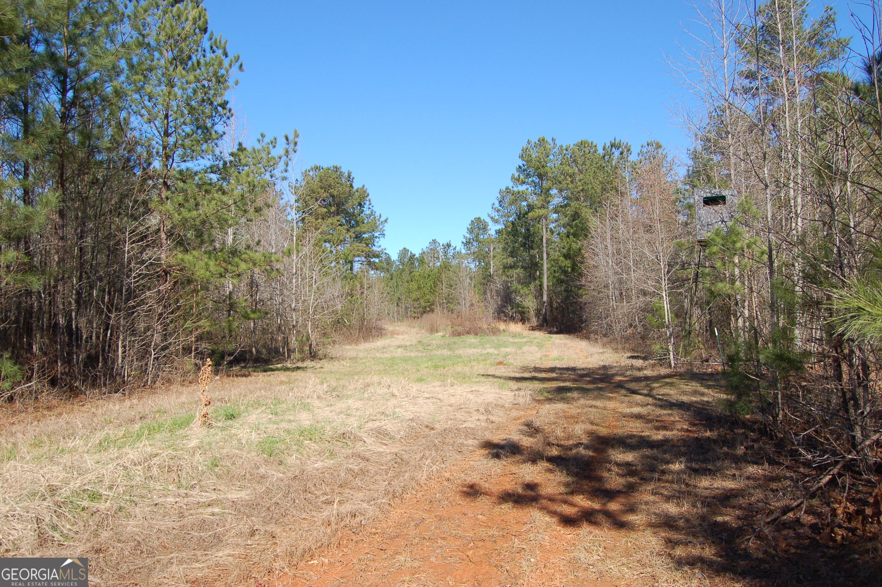 0 Fears Road Rutledge, GA 30663 - Photo 10 of 16 a view of a yard with a tree