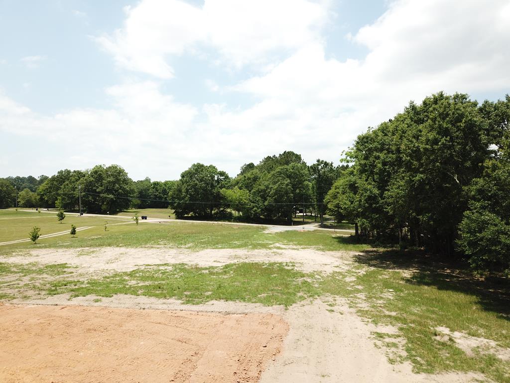 7.1-acres Cobb Road Dothan, AL 36301 - Photo 10 of 55