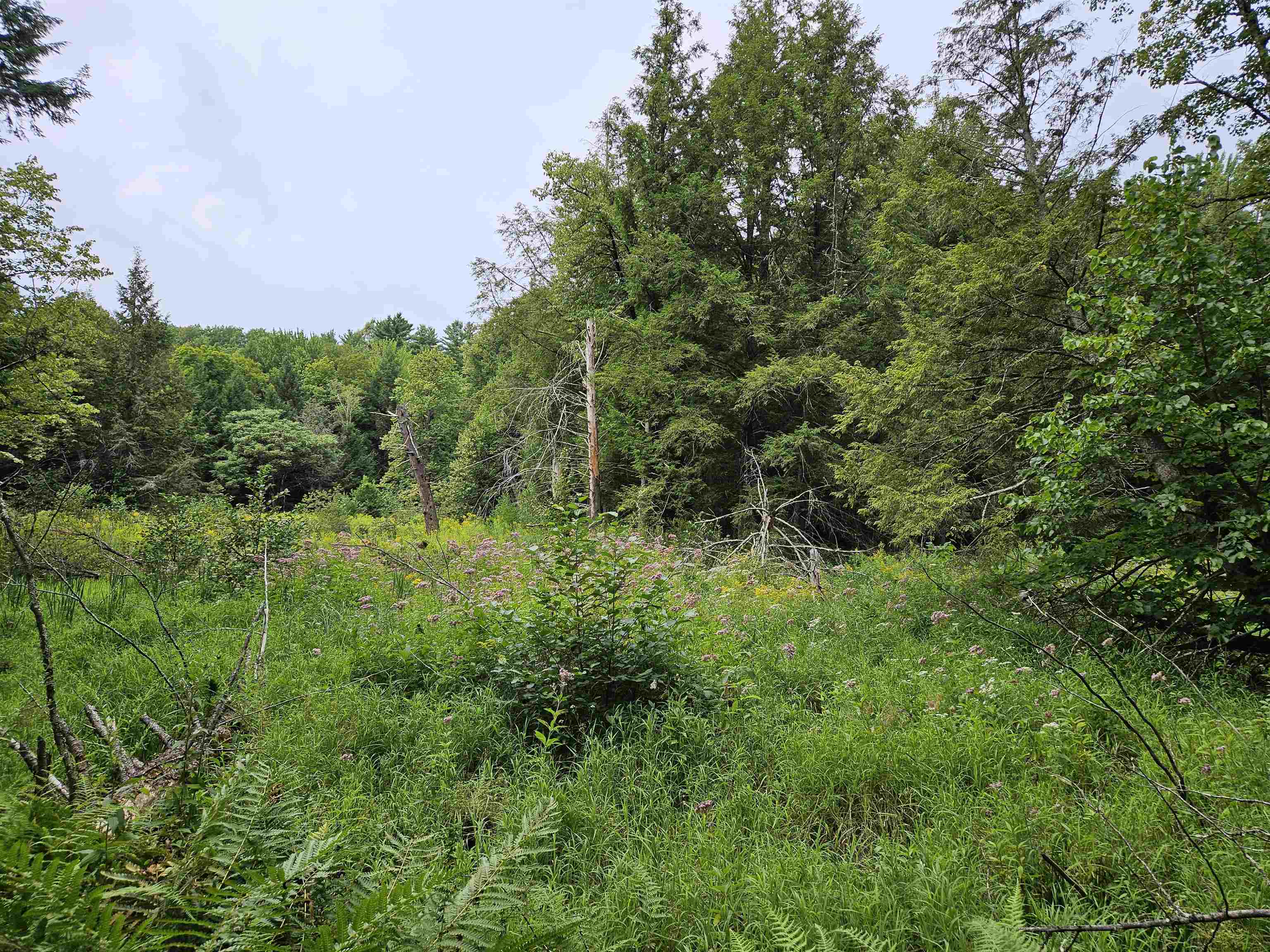 0 Highbridge Road Fairfax, VT 05454 - Photo 12 of 22