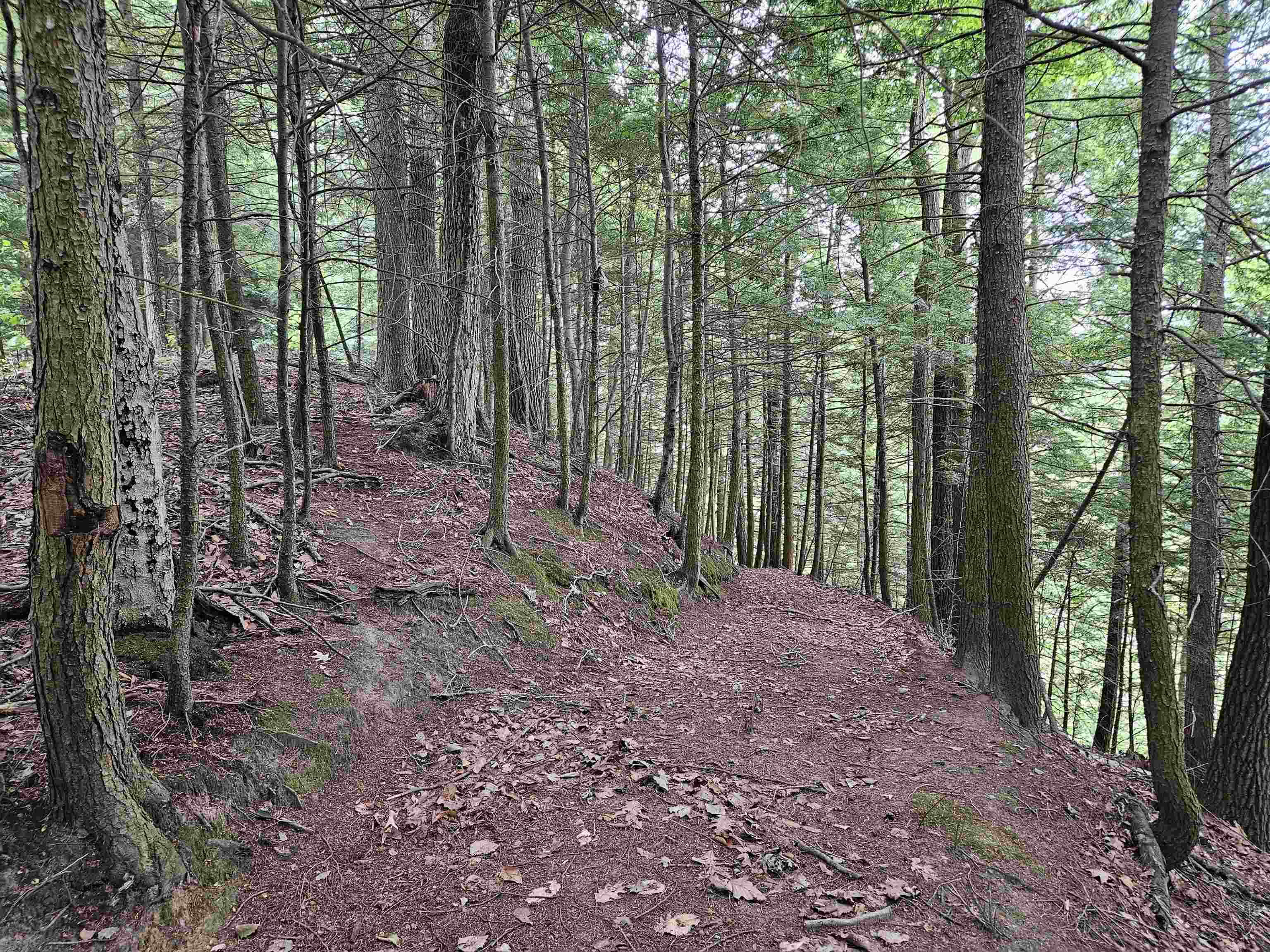 0 Highbridge Road Fairfax, VT 05454 - Photo 13 of 22