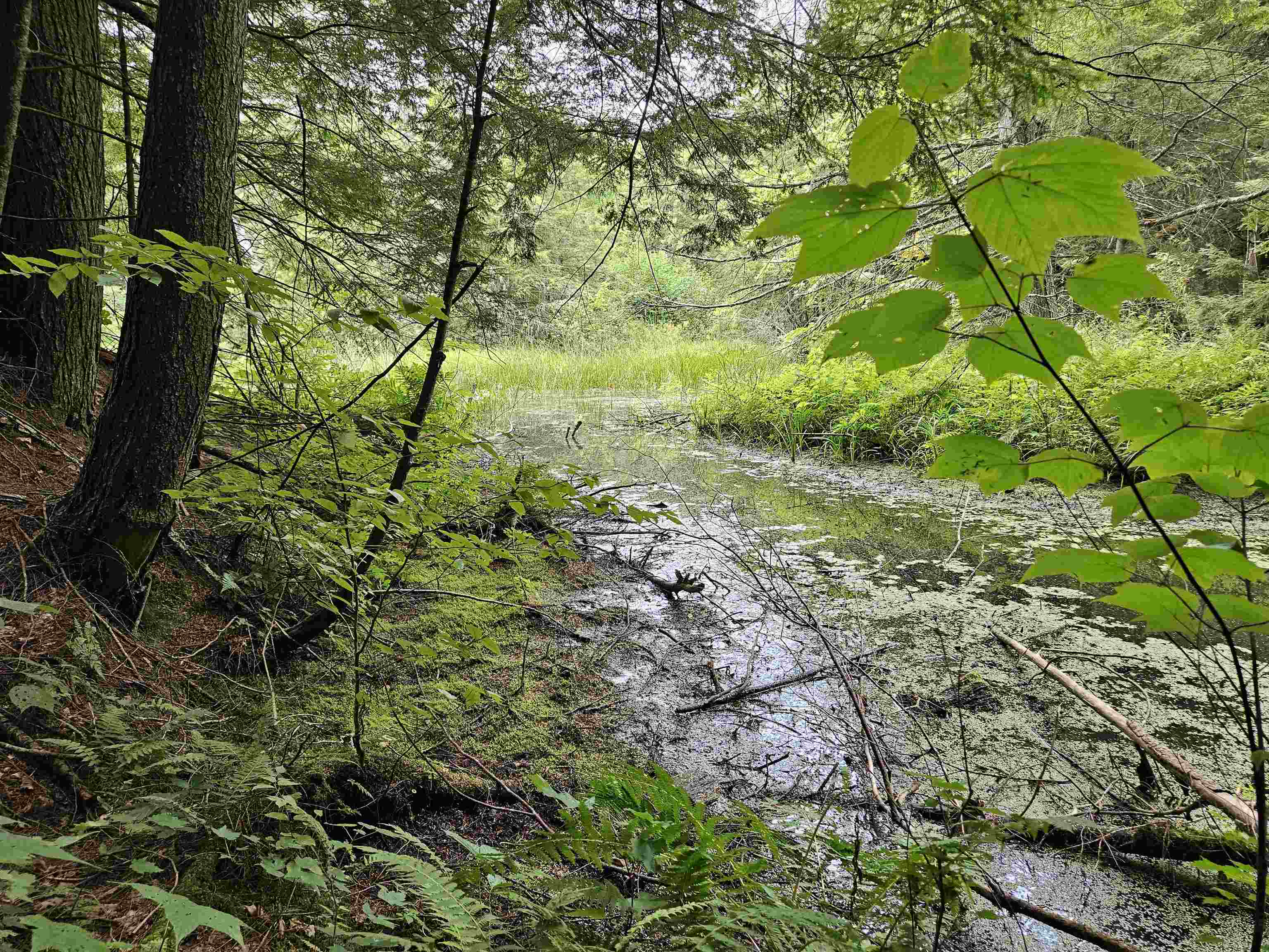 0 Highbridge Road Fairfax, VT 05454 - Photo 14 of 22