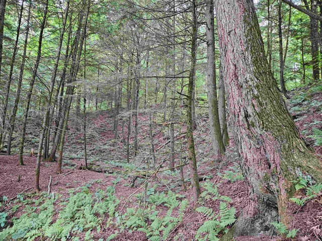 $28,500 | 0 Highbridge Road, Fairfax, VT 05454