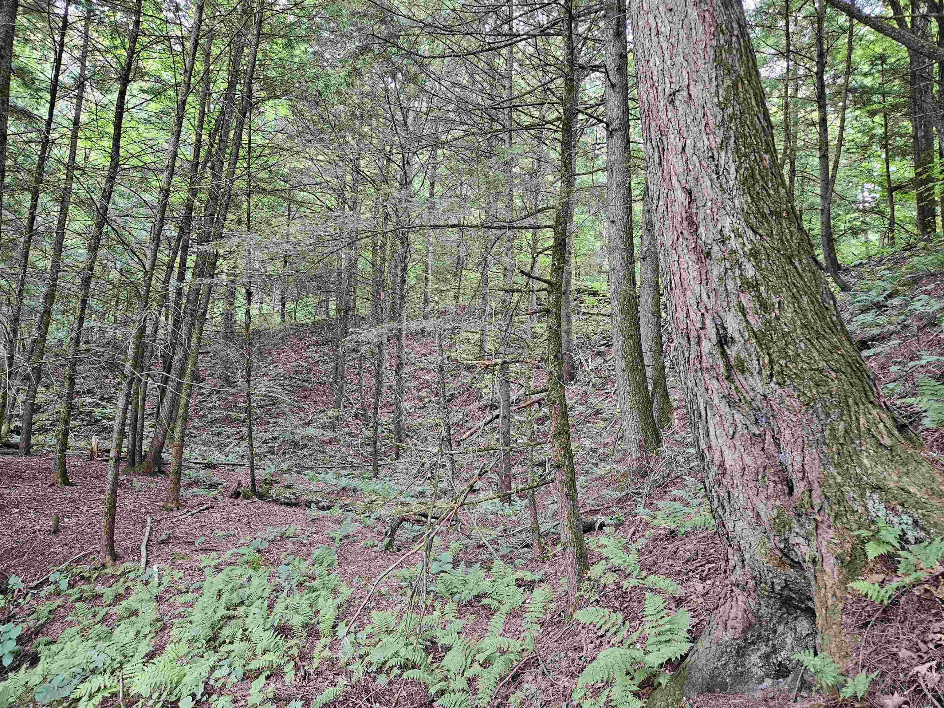 0 Highbridge Road Fairfax, VT 05454 - Photo 15 of 22