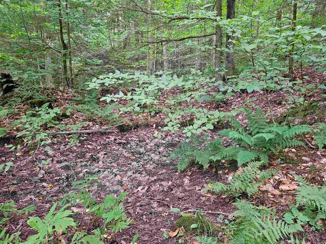 $28,500 | 0 Highbridge Road, Fairfax, VT 05454