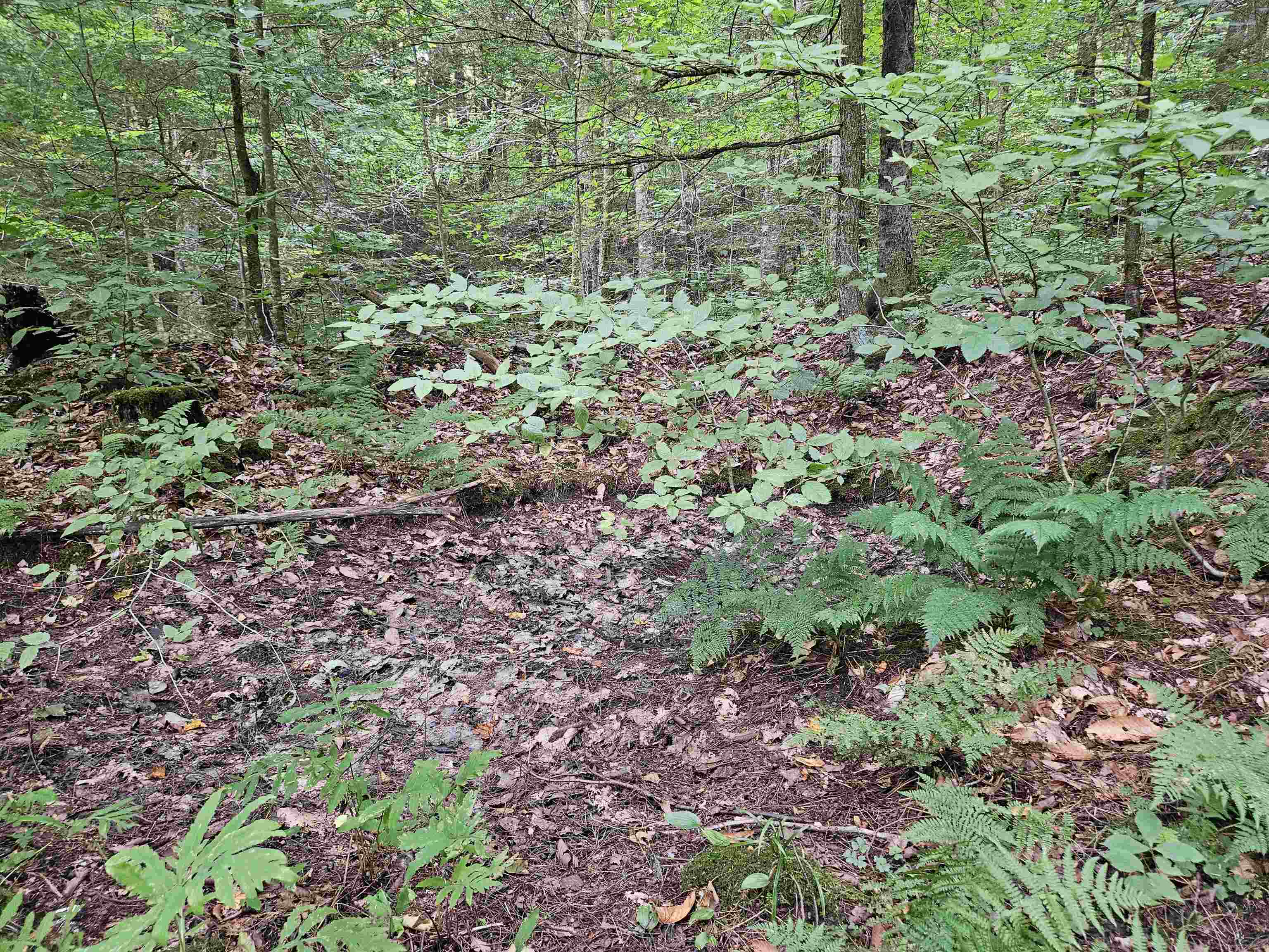 0 Highbridge Road Fairfax, VT 05454 - Photo 16 of 22