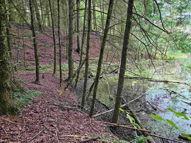 $28,500 | 0 Highbridge Road, Fairfax, VT 05454