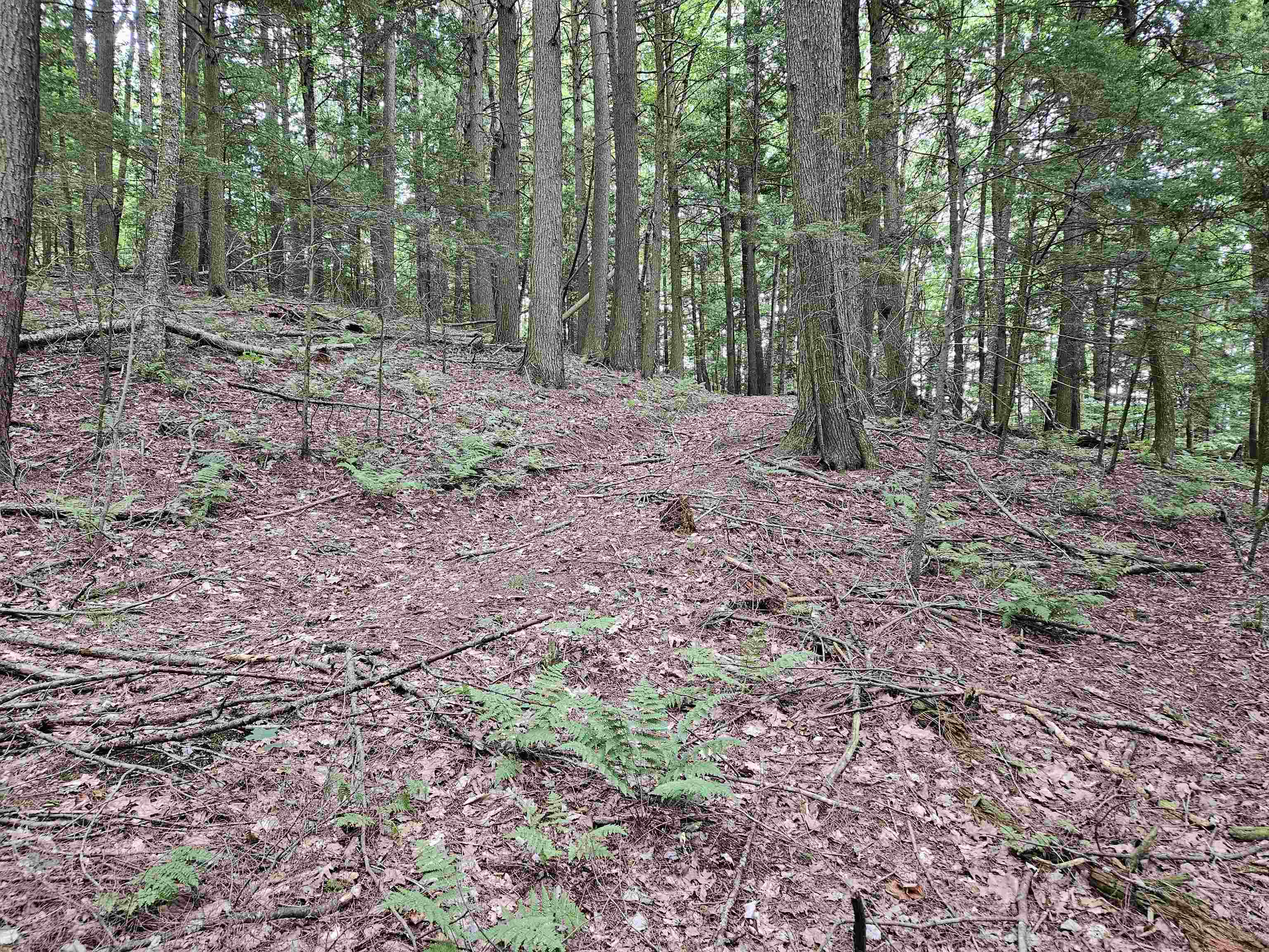 0 Highbridge Road Fairfax, VT 05454 - Photo 19 of 22