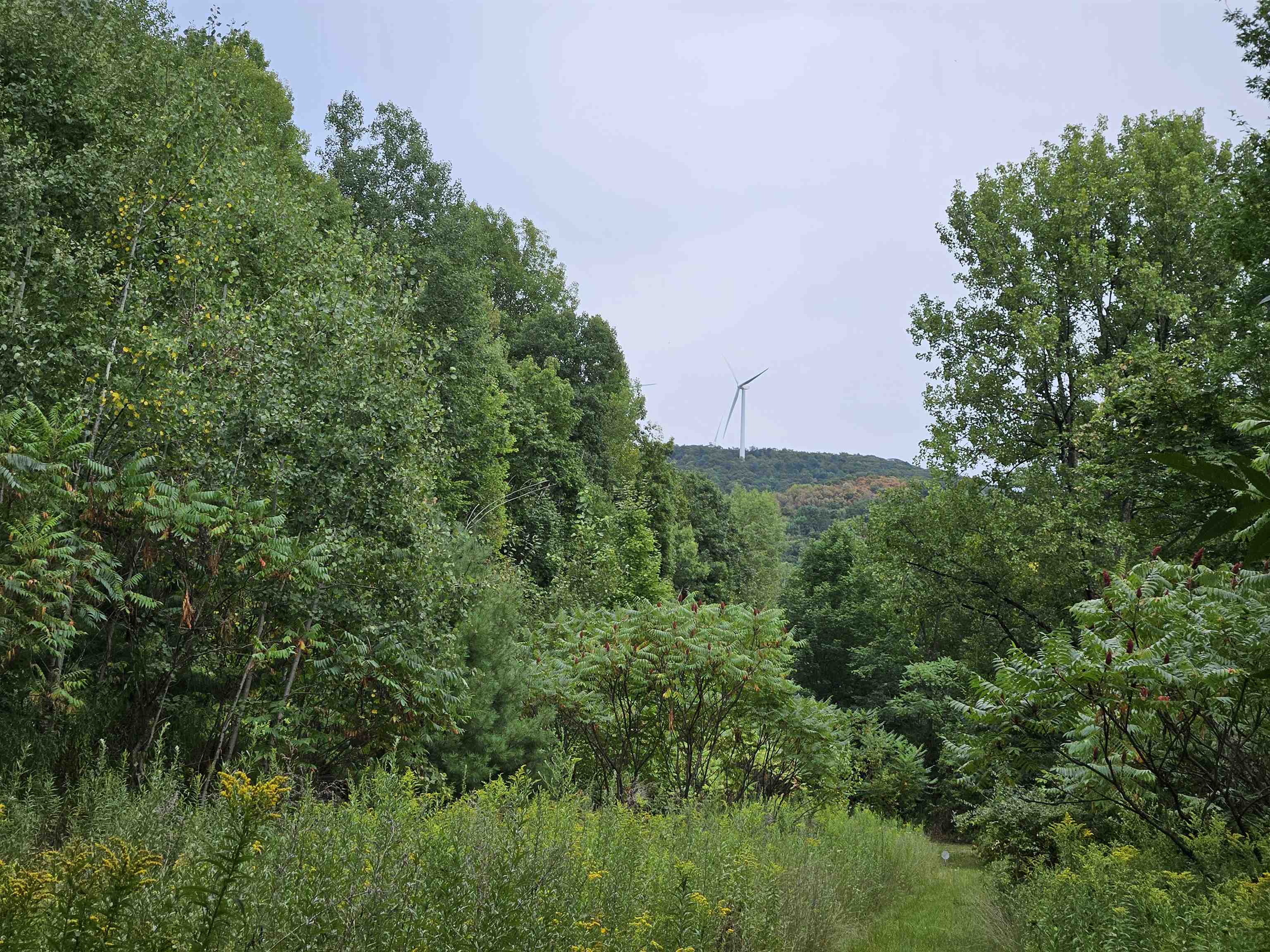 0 Highbridge Road Fairfax, VT 05454 - Photo 5 of 22