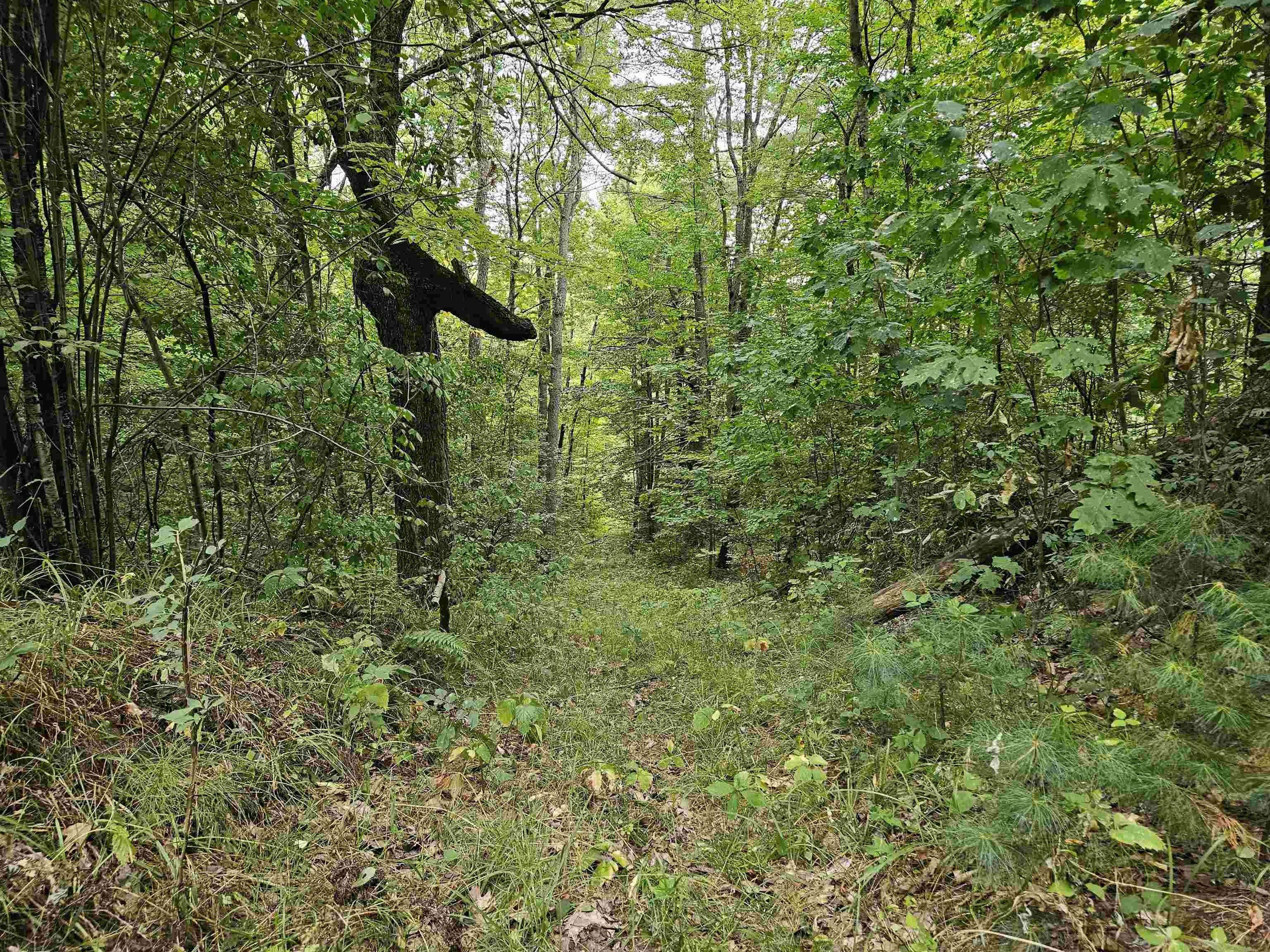 0 Highbridge Road Fairfax, VT 05454 - Photo 7 of 22