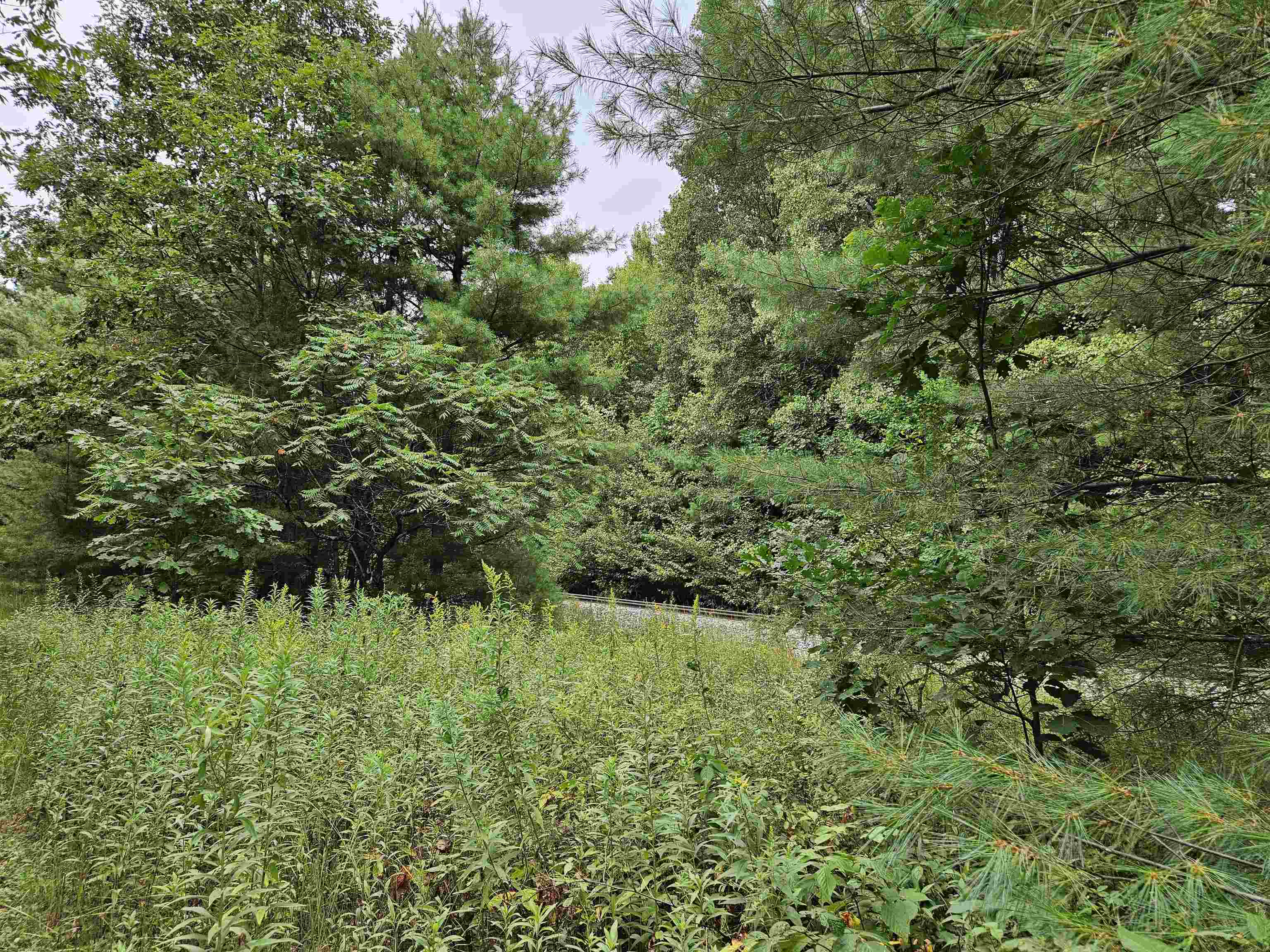 0 Highbridge Road Fairfax, VT 05454 - Photo 8 of 22