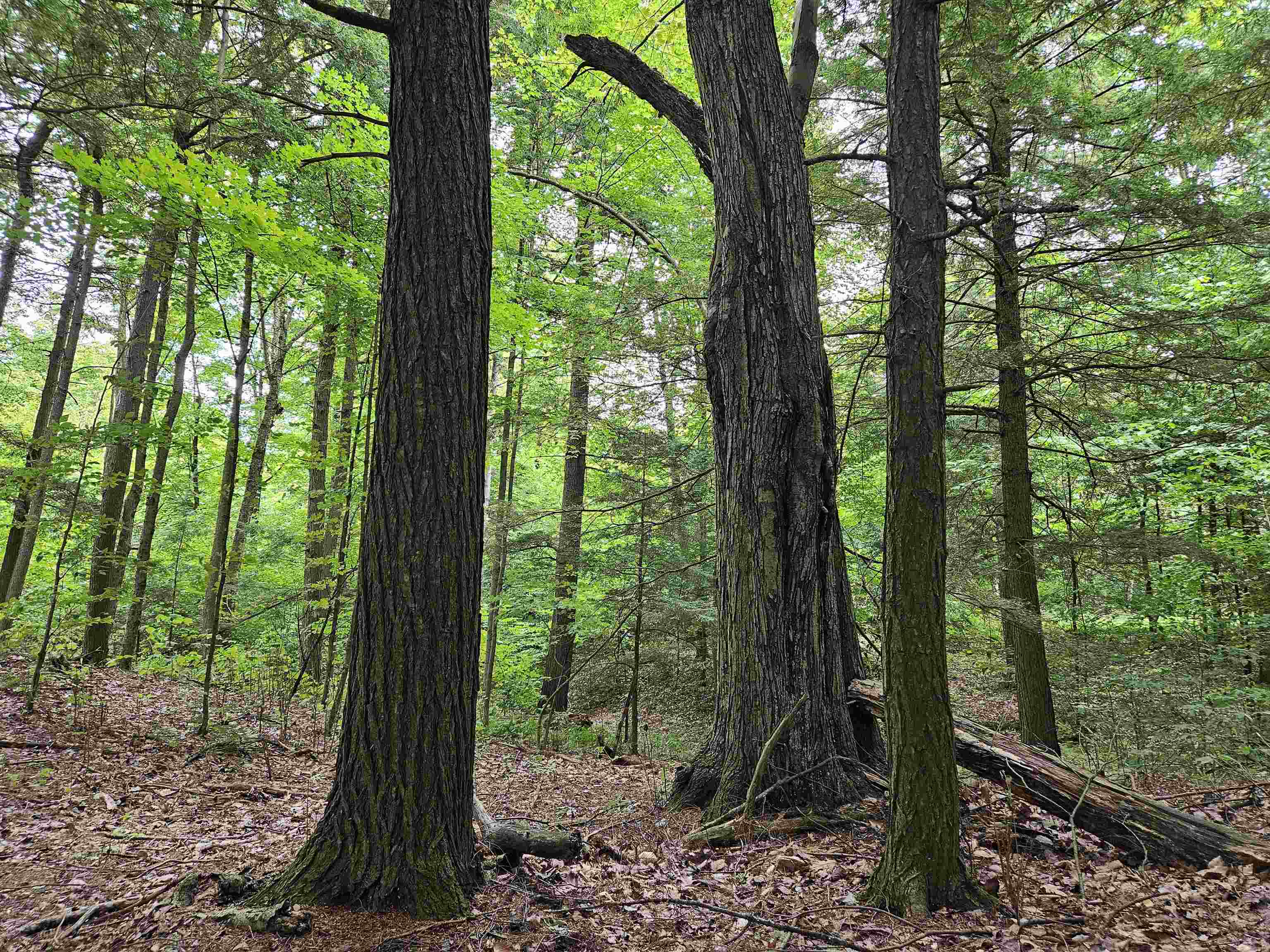 0 Highbridge Road Fairfax, VT 05454 - Photo 9 of 22