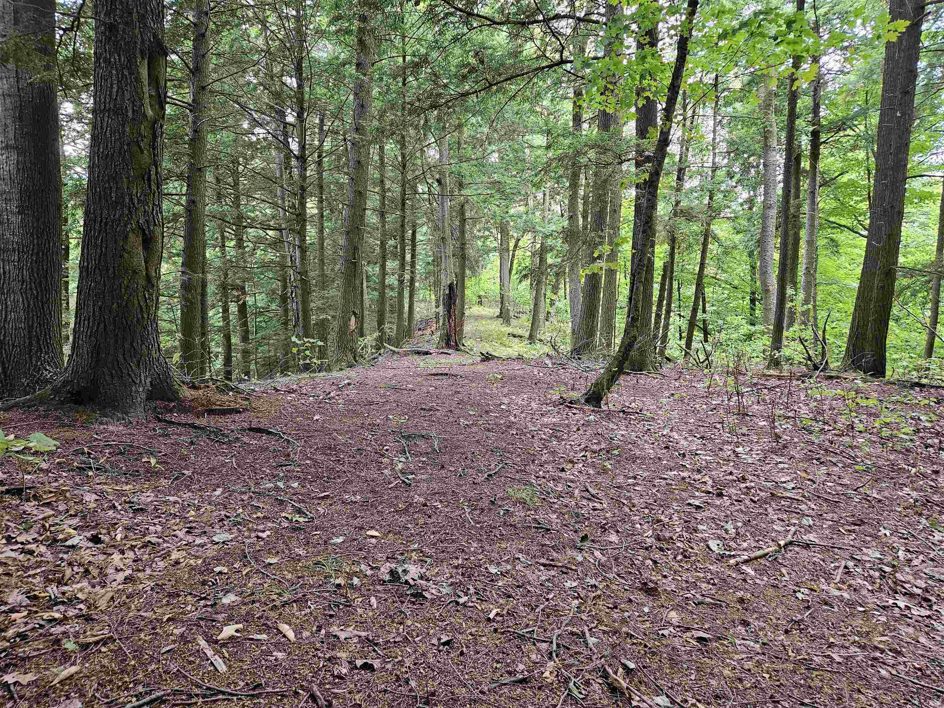 0 Highbridge Road Fairfax, VT 05454 - Photo 10 of 22