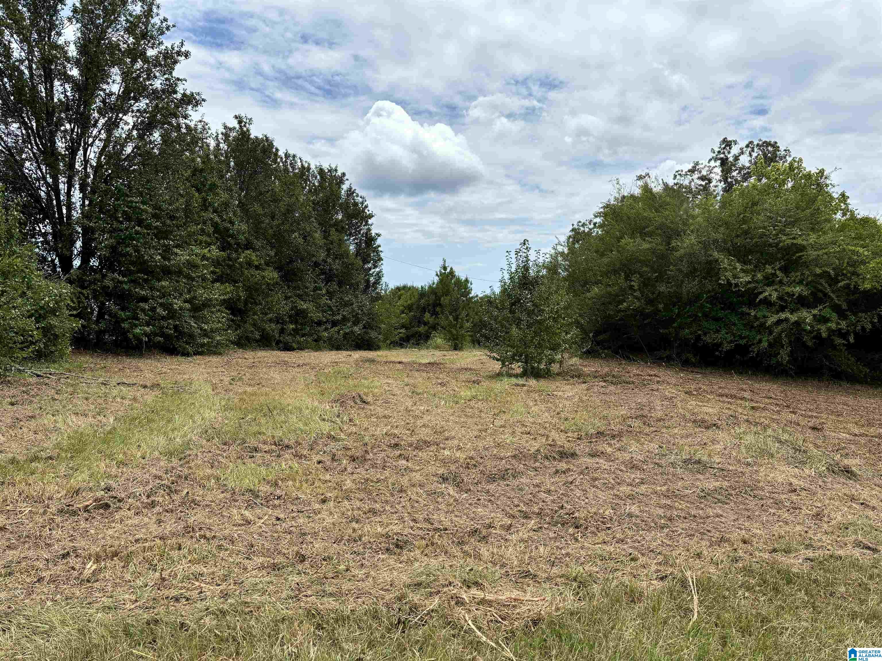 8988 Bagley Road, Unit 1 Dora, AL 35062 - Photo 7 of 8