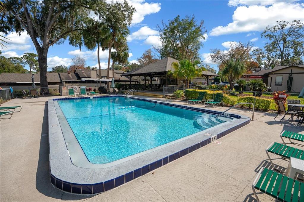 3824 Northeast 19th St Circle Ocala, FL 34470 - Photo 65 of 67 a view of a swimming pool with a lounge chair