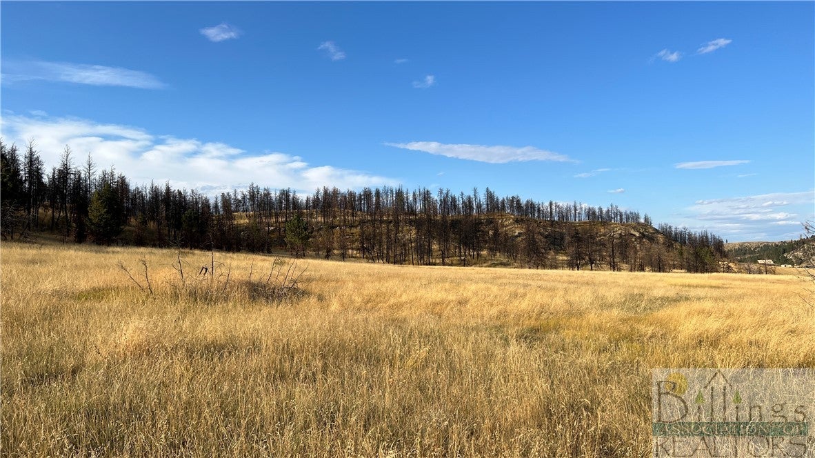 Tbd Fattig Creek Road Roundup, MT 59072 - Photo 1 of 1 Gallery Image 1