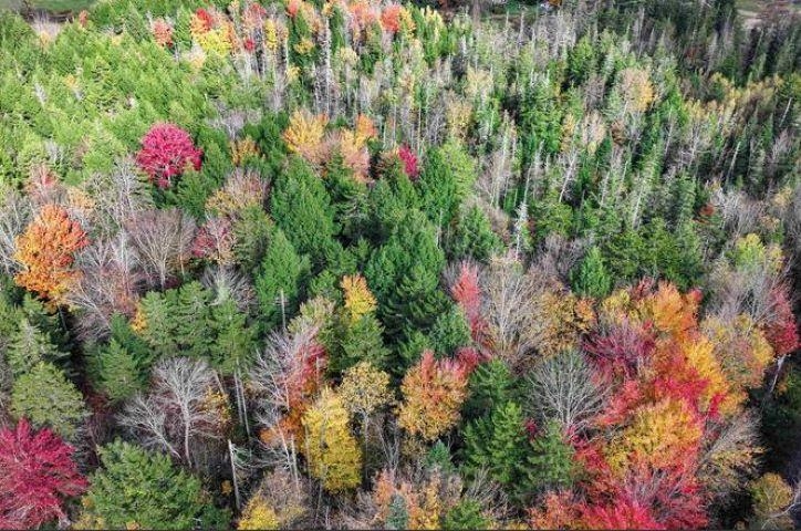 1021 Woods Road Warren, VT 05674 - Photo 18 of 24
