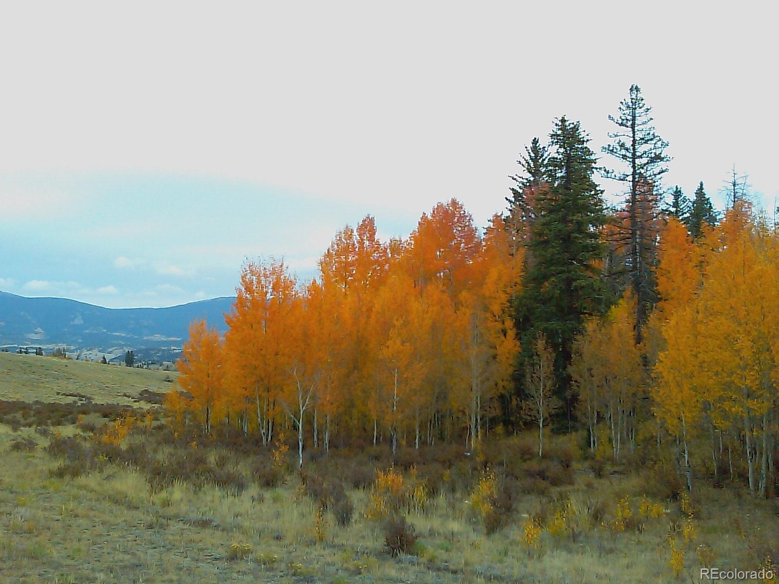 55 Falcon Road Como, CO 80432 - Photo 25 of 31 Gallery Image 25