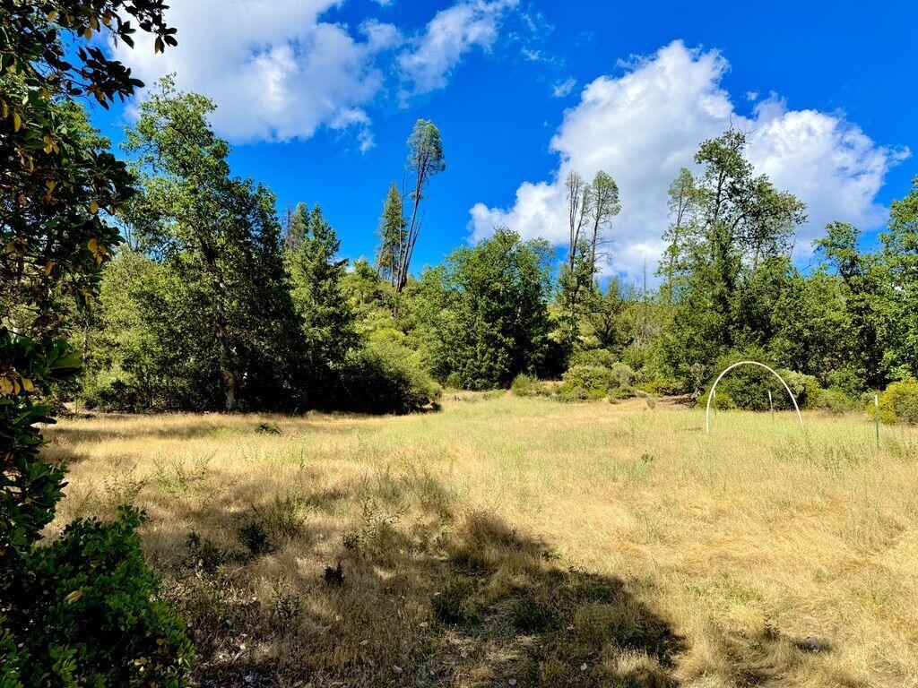 925 Kingsbury Road Hayfork, CA 96041 - Photo 18 of 21 K18