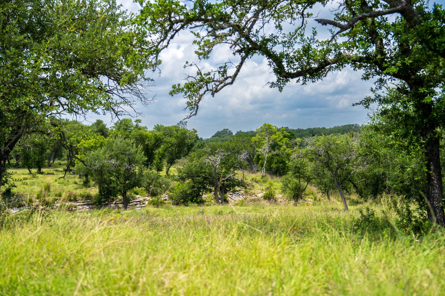 3979 Chimney Valley Road Blanco, TX 78606 - Photo 2 of 34 a view of a yard
