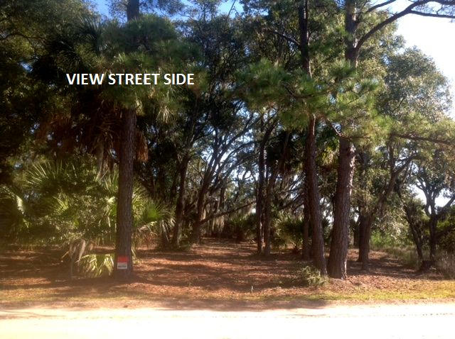8906 Sandy Creek Road Edisto Island, SC 29438 - Photo 23 of 31 A6