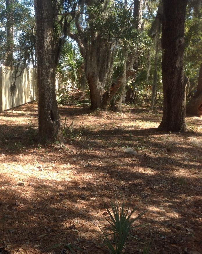 8906 Sandy Creek Road Edisto Island, SC 29438 - Photo 29 of 31 ALBRIGHT PRIV FENCE USE