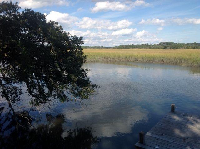 8906 Sandy Creek Road Edisto Island, SC 29438 - Photo 10 of 31 a great shot