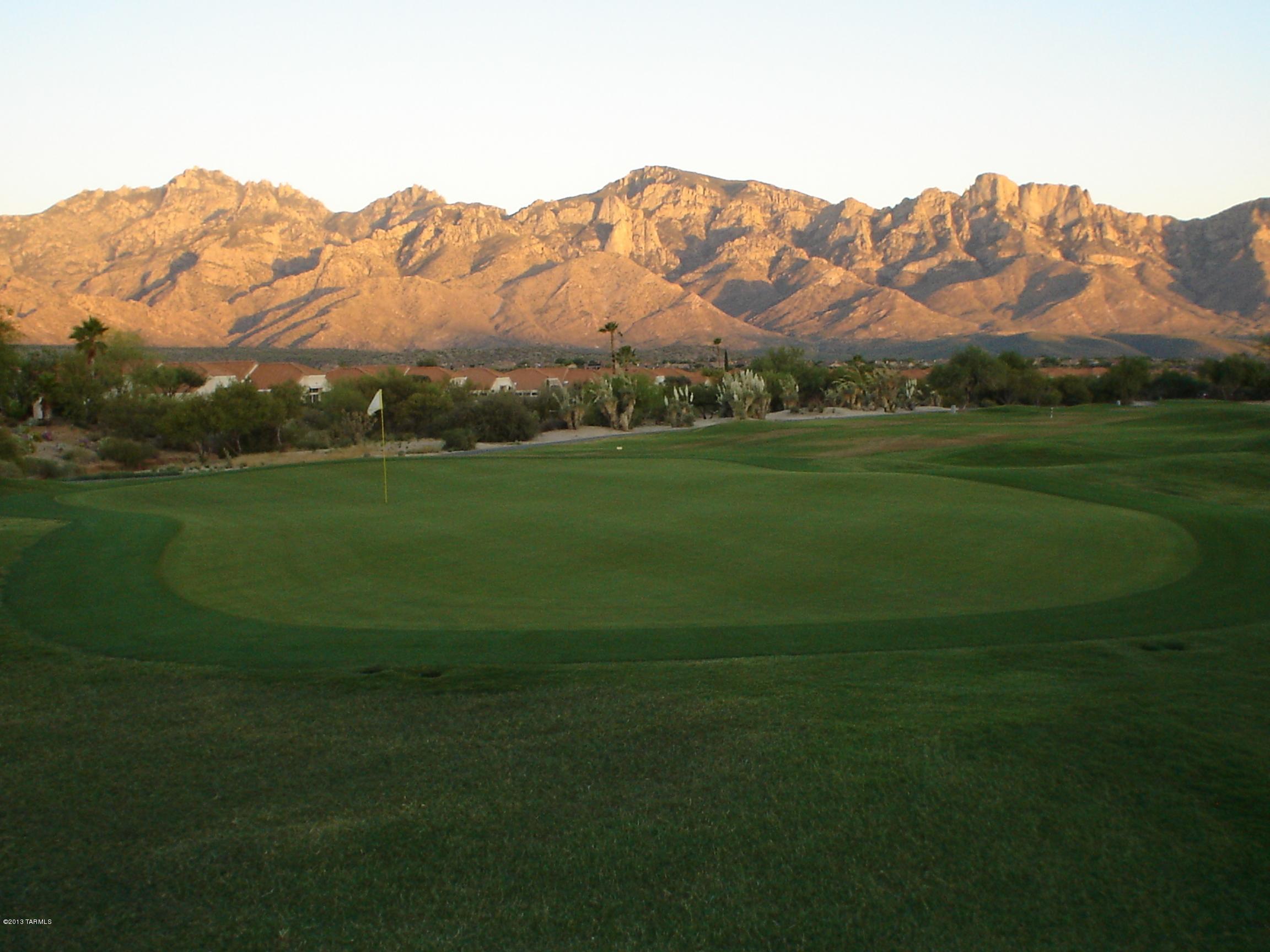1686 East Crown Ridge Way Tucson, AZ 85755 - Photo 32 of 46