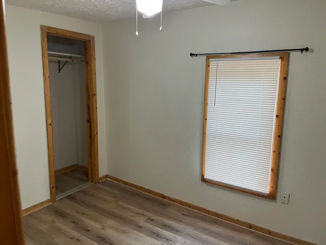 a view of a yard with large trees