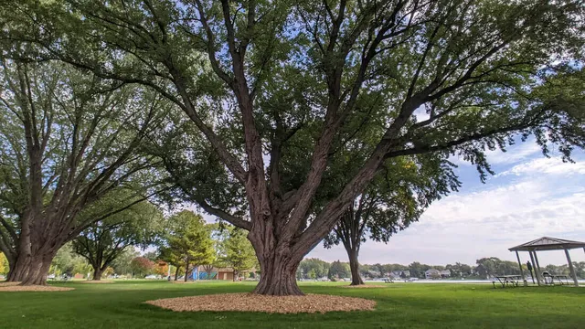 $950,000 | S63-w13464 Windsor Road, Muskego, WI 53150