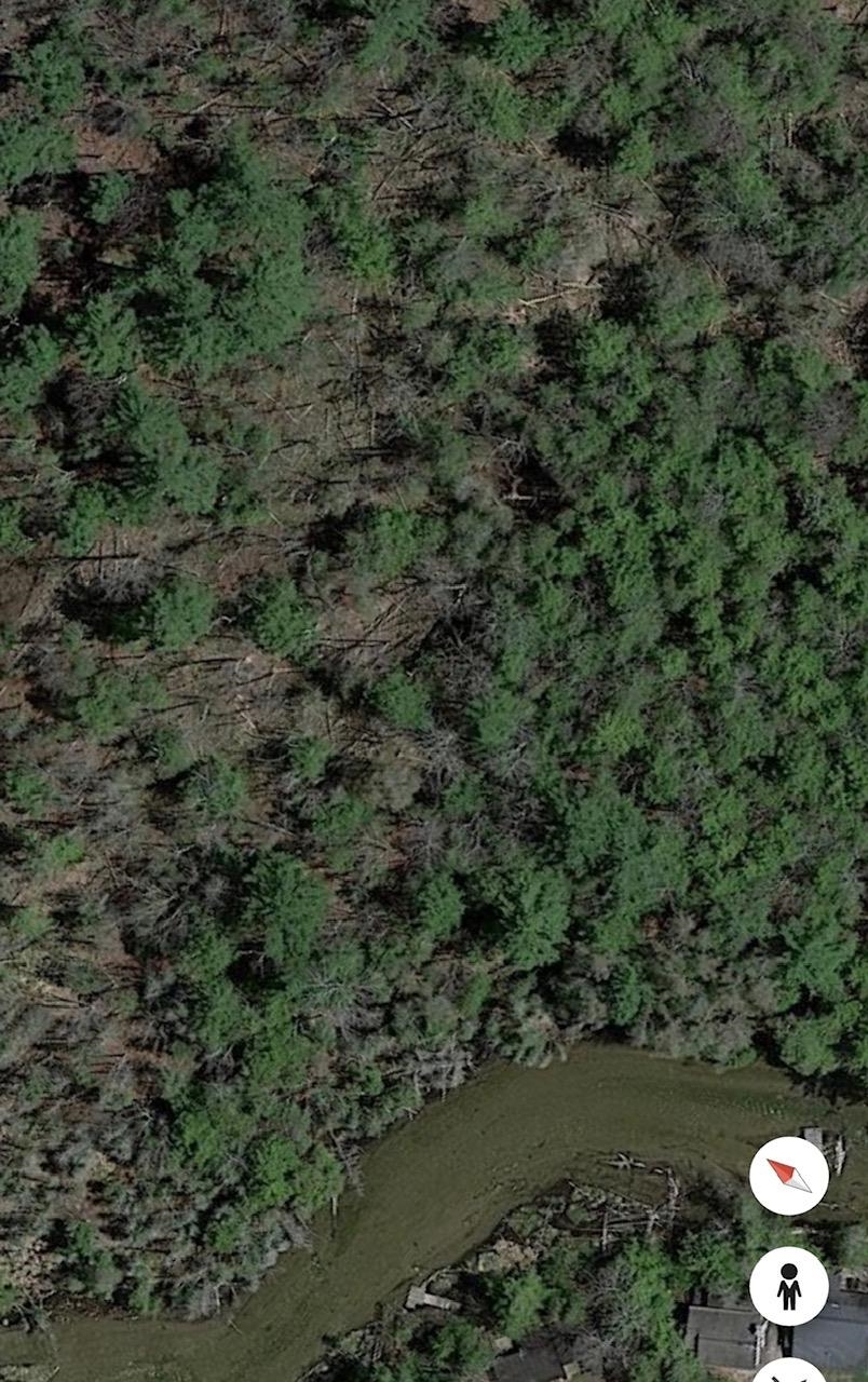 0 Pioneer Road Beulah, MI 49617 - Photo 6 of 6