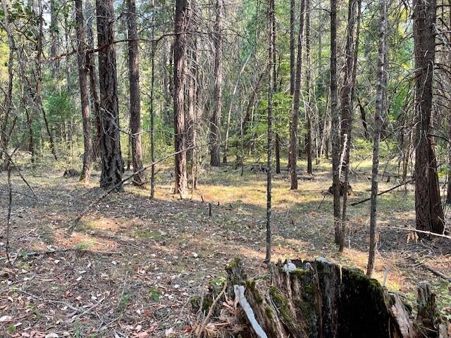 6392 Pleasant Creek Road Rogue River, OR 97537 - Photo 11 of 19 IMG_6855
