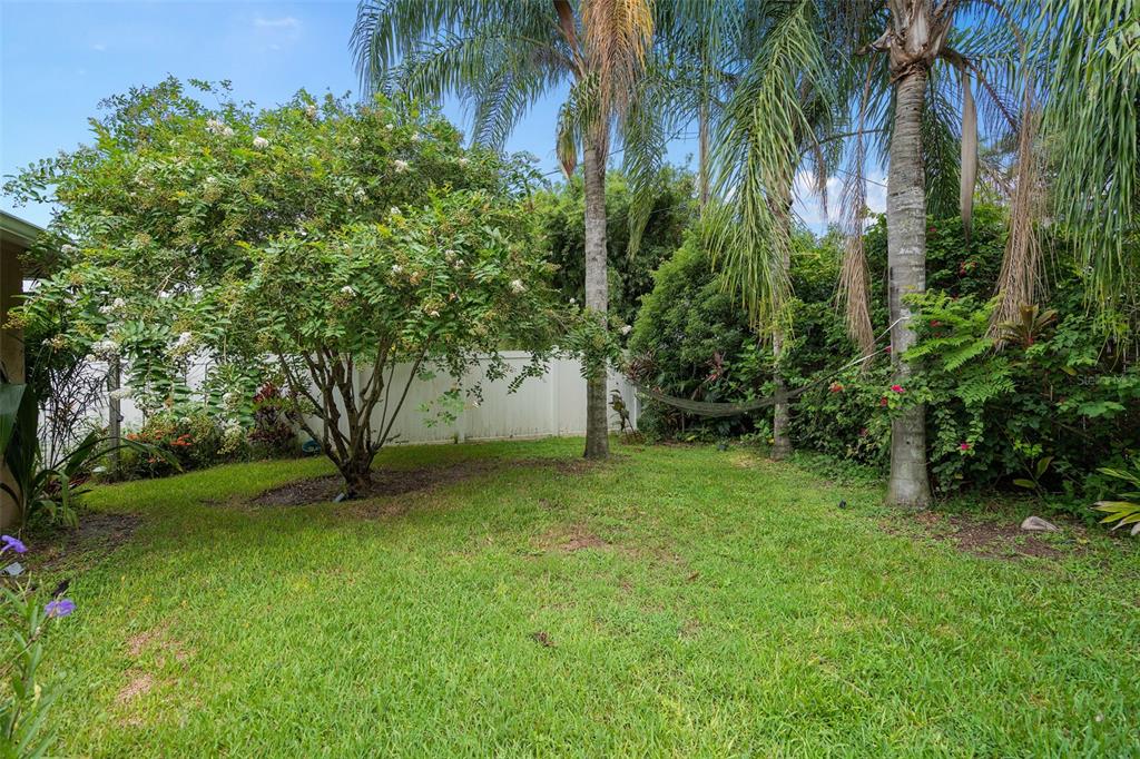 744 Cornwall Road Winter Park, FL 32792 - Photo 29 of 57 a view of a garden with a tree