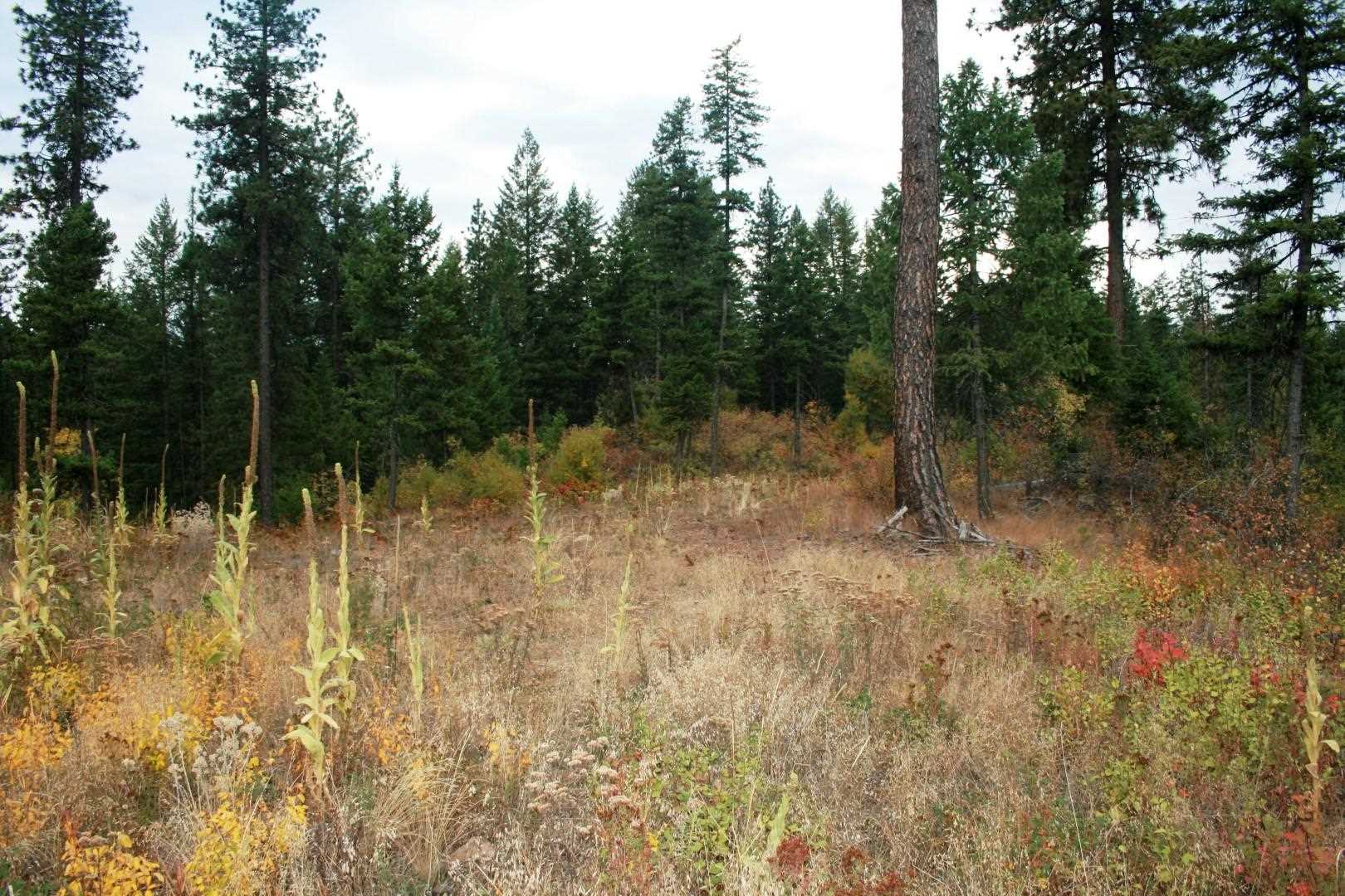 0 Little Sweden Road Valley, WA 99181 - Photo 8 of 10