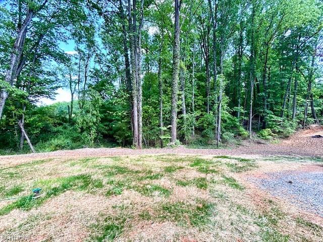 7471 Olin Road Pfafftown, NC 27040 - Photo 45 of 47